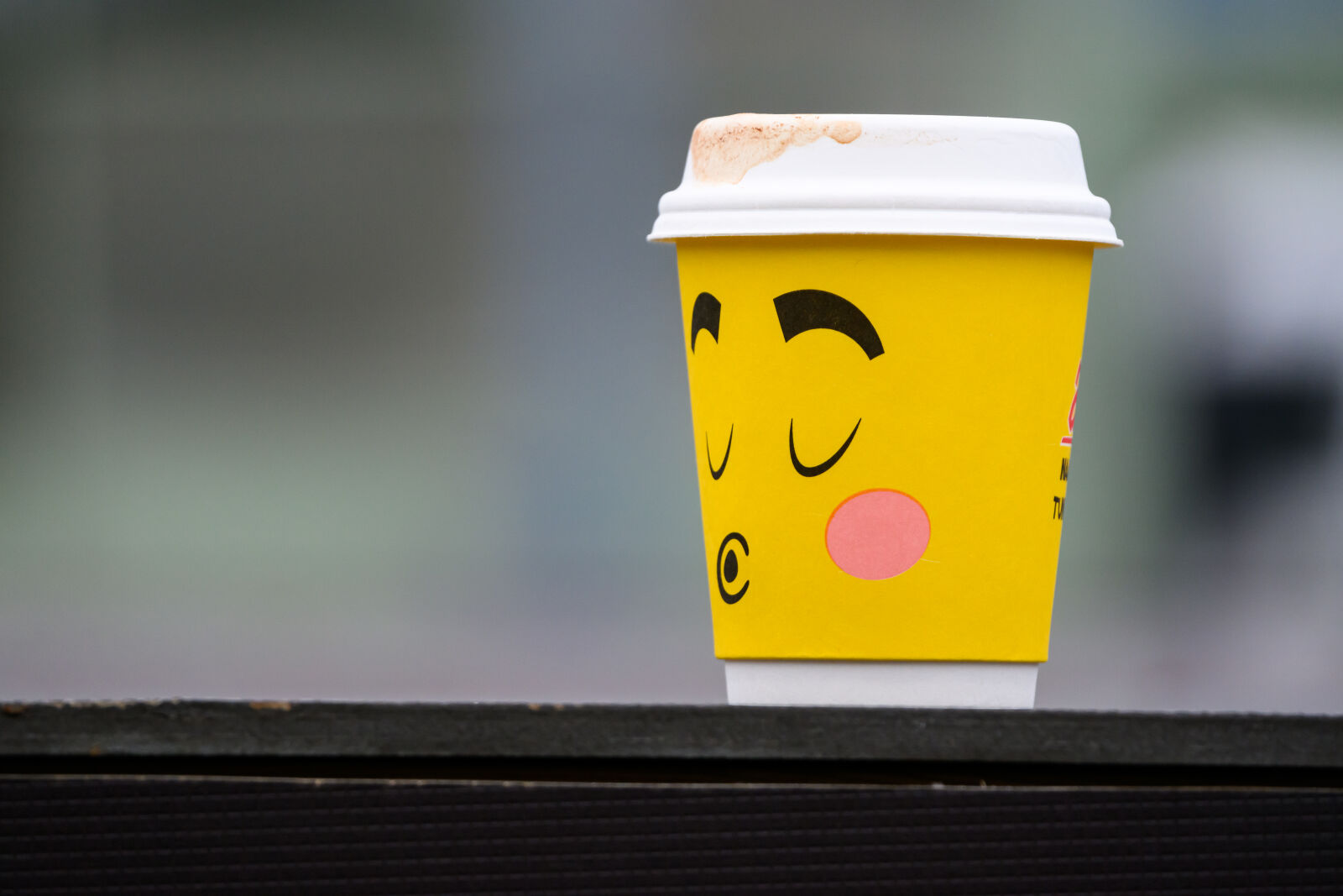 Nikon Z8 sample photo. Littering cup photography