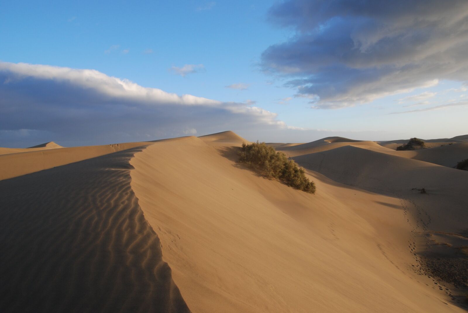 Nikon D80 sample photo. Desert, sand, dunes photography