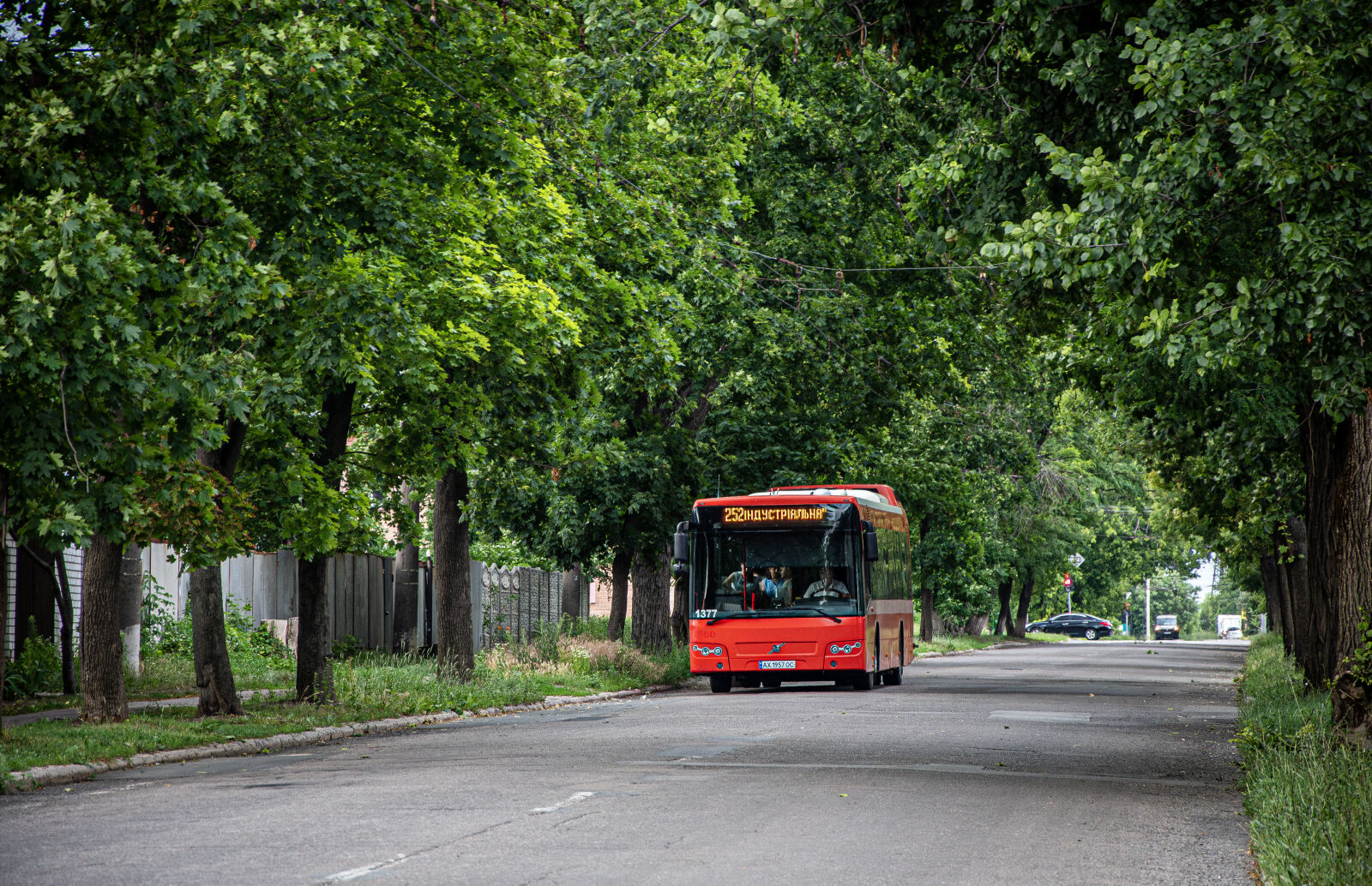 Nikon D750 sample photo
