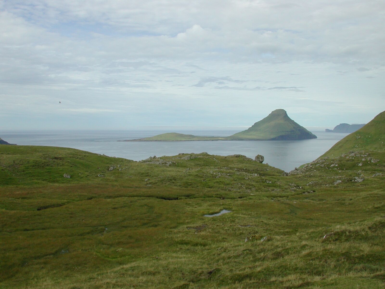 Nikon E990 sample photo. Faroe islands, rocks, summer photography