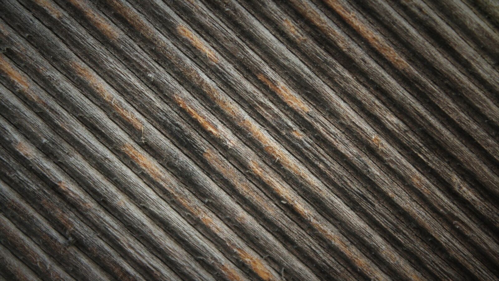 Canon EOS 1300D (EOS Rebel T6 / EOS Kiss X80) sample photo. Wood, stripes, texture photography