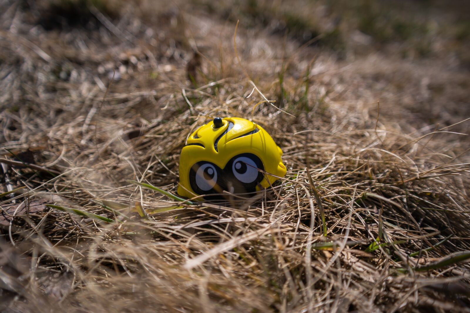 Samsung NX300 sample photo. Grass, toy, spring photography