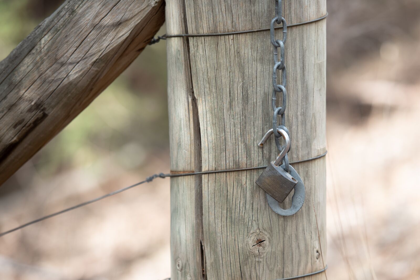 Nikon D750 sample photo. Lock, padlock, chain photography