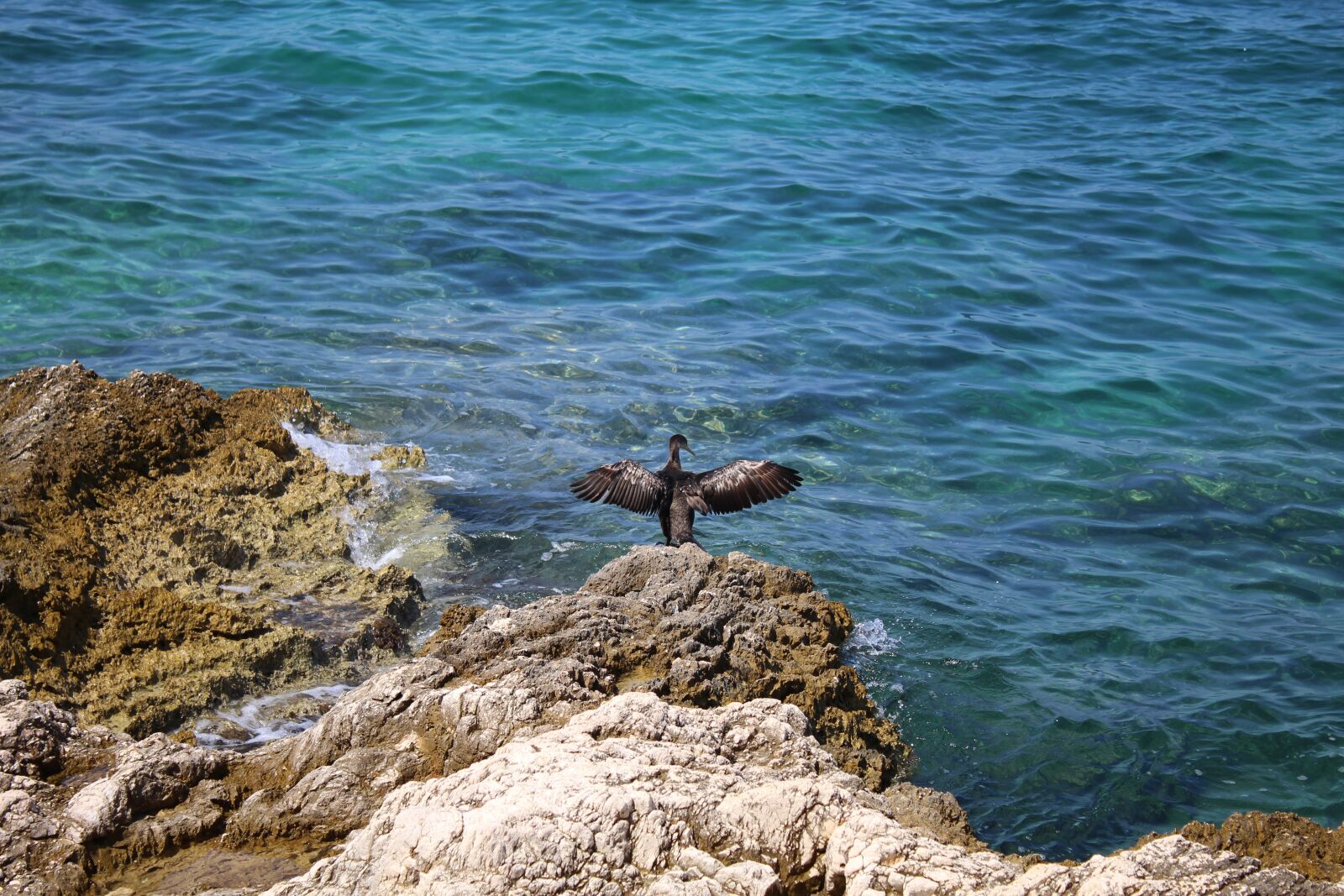 Canon EOS 1300D (EOS Rebel T6 / EOS Kiss X80) sample photo. Croatia, vacations, sea photography