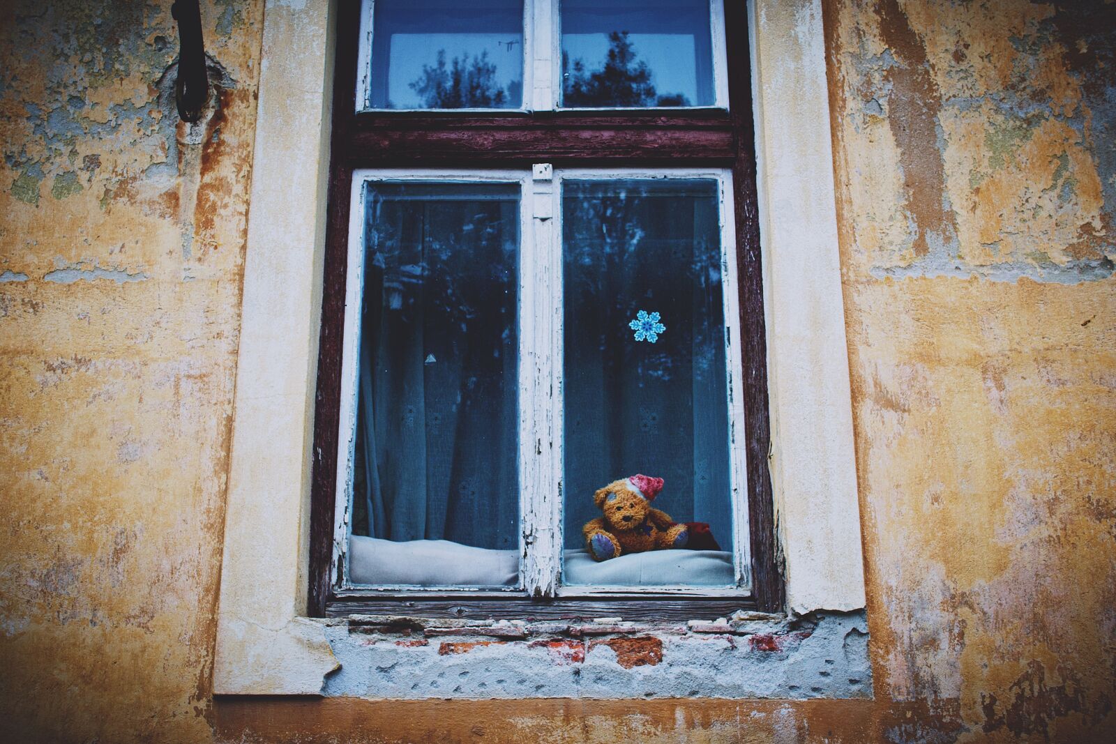 Nikon D3100 sample photo. City, architecture, bear photography
