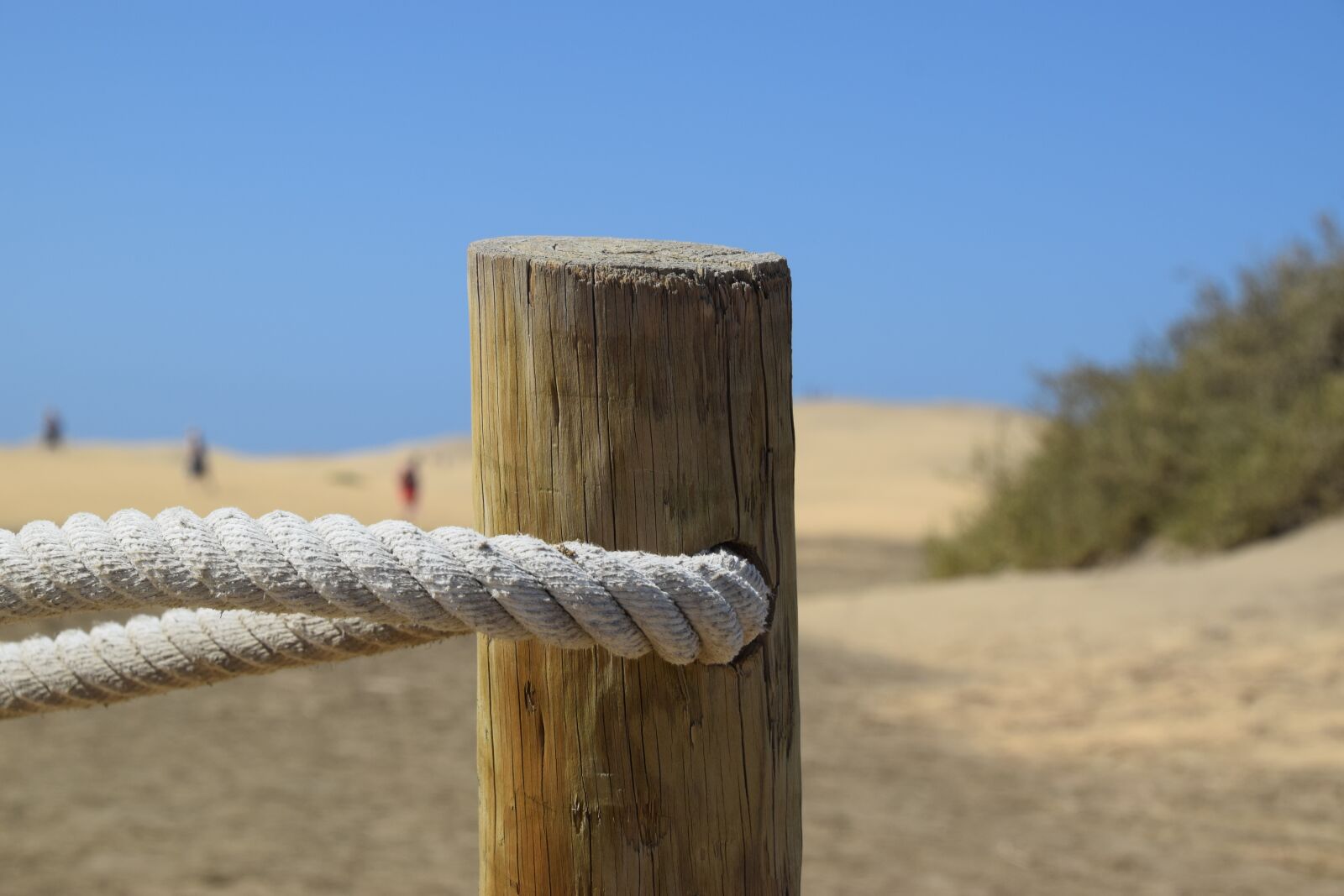 Nikon D3300 sample photo. Beach, pile, fence photography