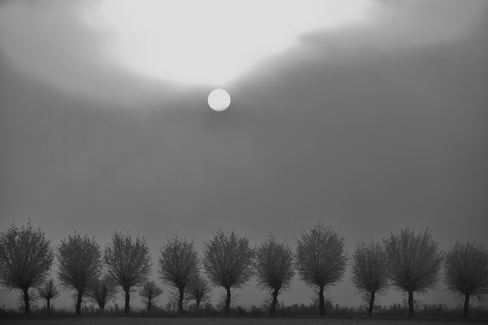 Nikon D7200 sample photo. Fog, autumn, nature photography