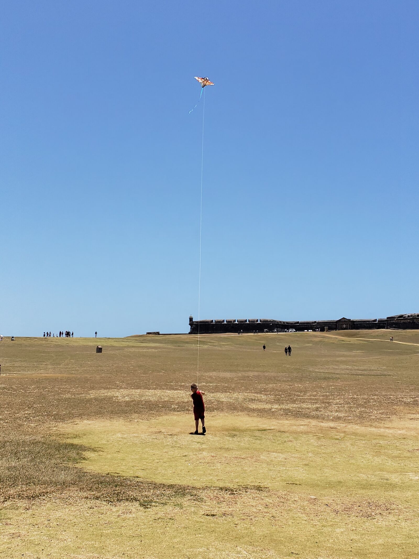 Samsung Galaxy S9+ sample photo. Fly, kite, field photography