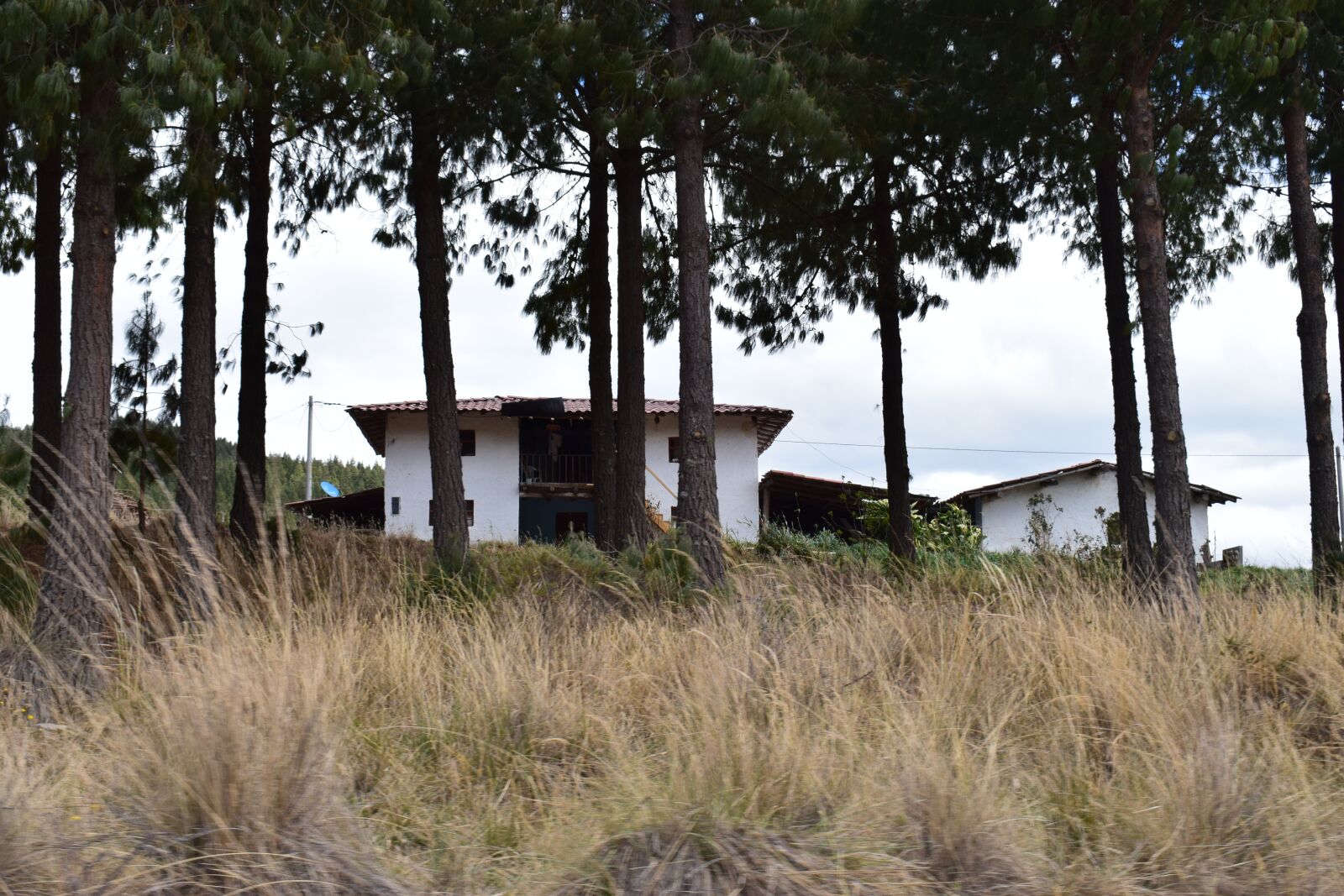 Nikon D3300 sample photo. Rural, field, home photography