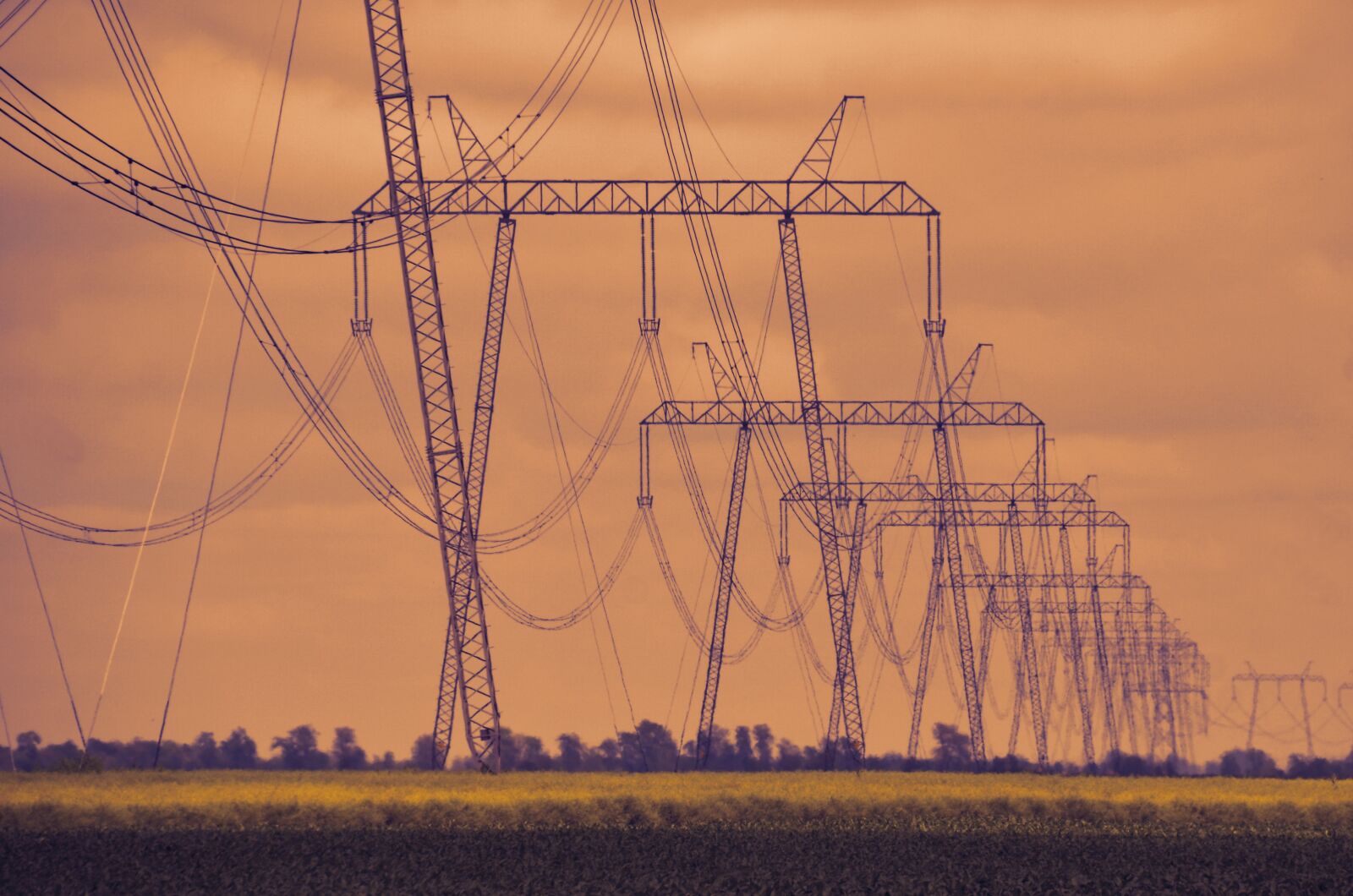 Nikon D7000 sample photo. High voltage, electricity, electric photography