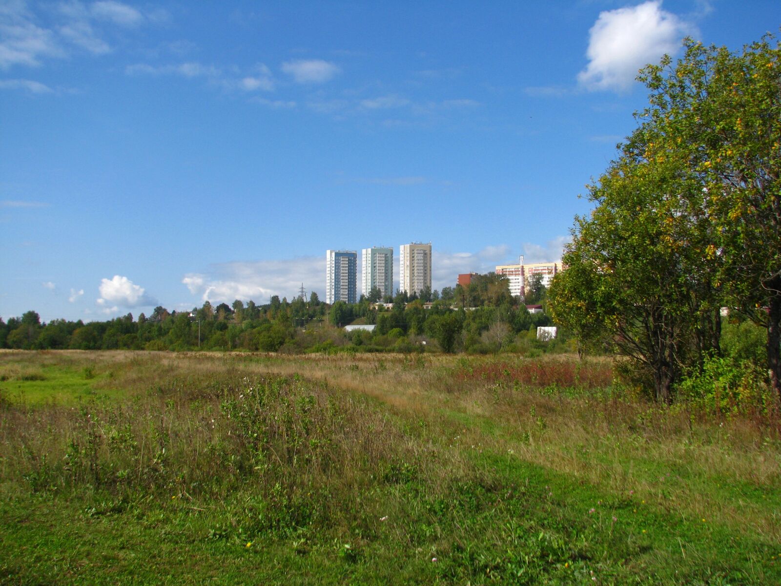 Canon POWERSHOT S5 IS sample photo. Landscape, city, at home photography