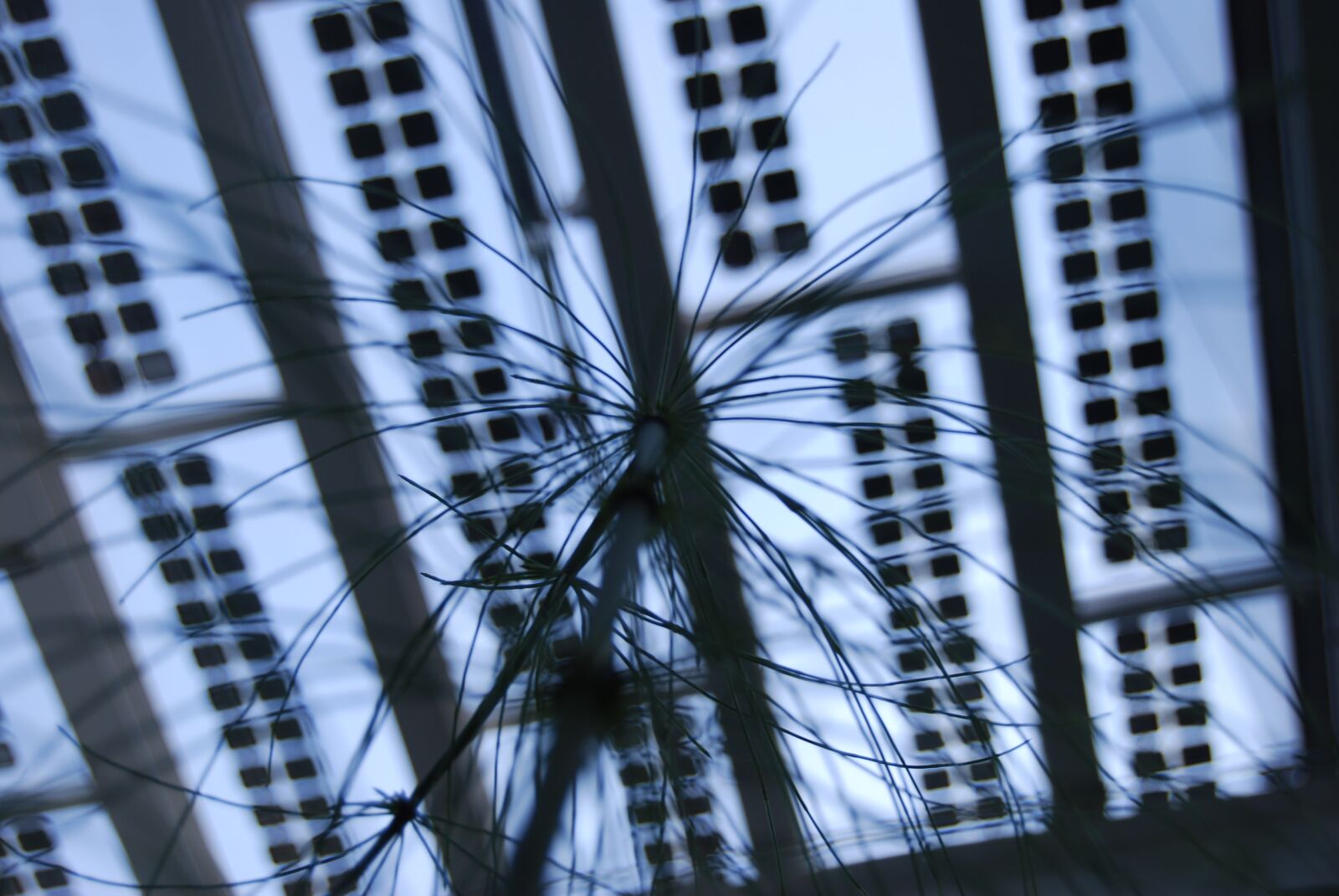 Nikon D40X sample photo. Sky, glass, ceiling photography