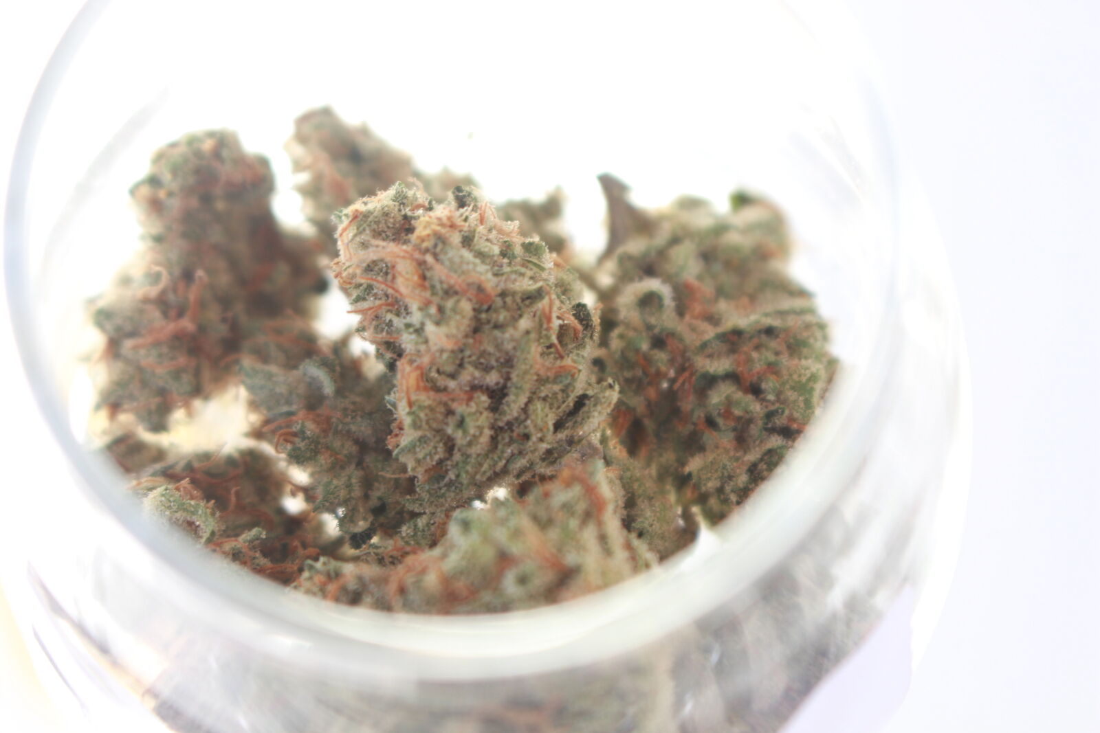 Canon EOS 700D (EOS Rebel T5i / EOS Kiss X7i) sample photo. 420, bud, cannabis, close photography