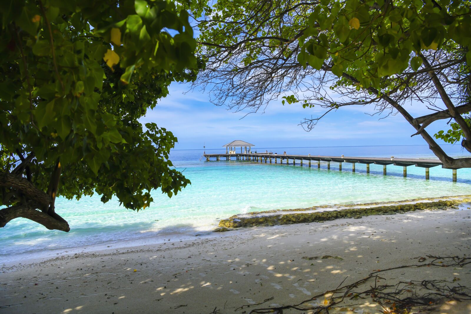Nikon D850 sample photo. Sea, palm trees, sand photography