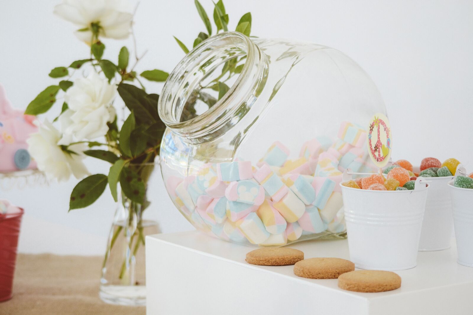 Nikon D3100 sample photo. Candies, candy station, clear photography