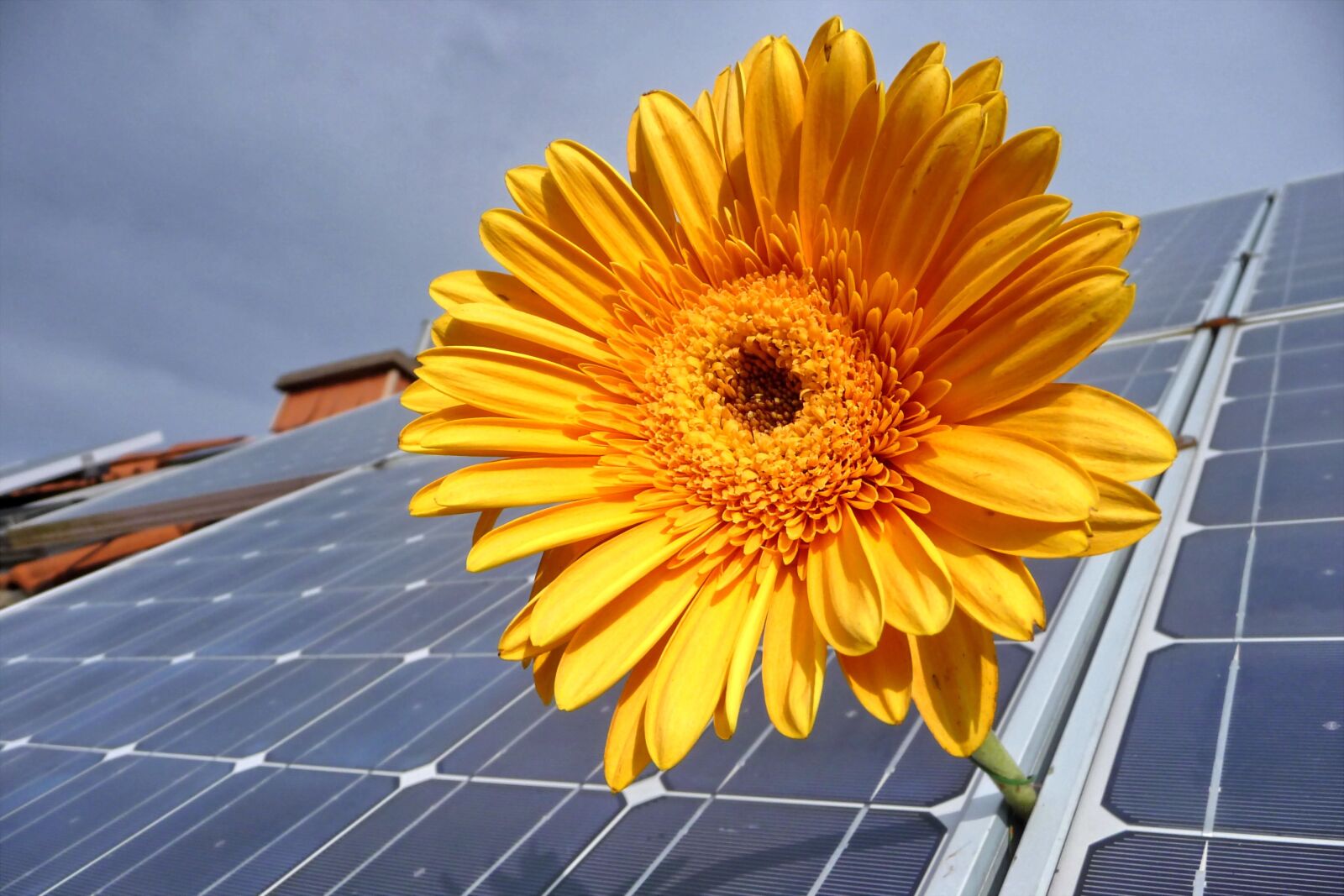 Panasonic Lumix DMC-TZ5 sample photo. Solar, photovoltaic, renewable photography
