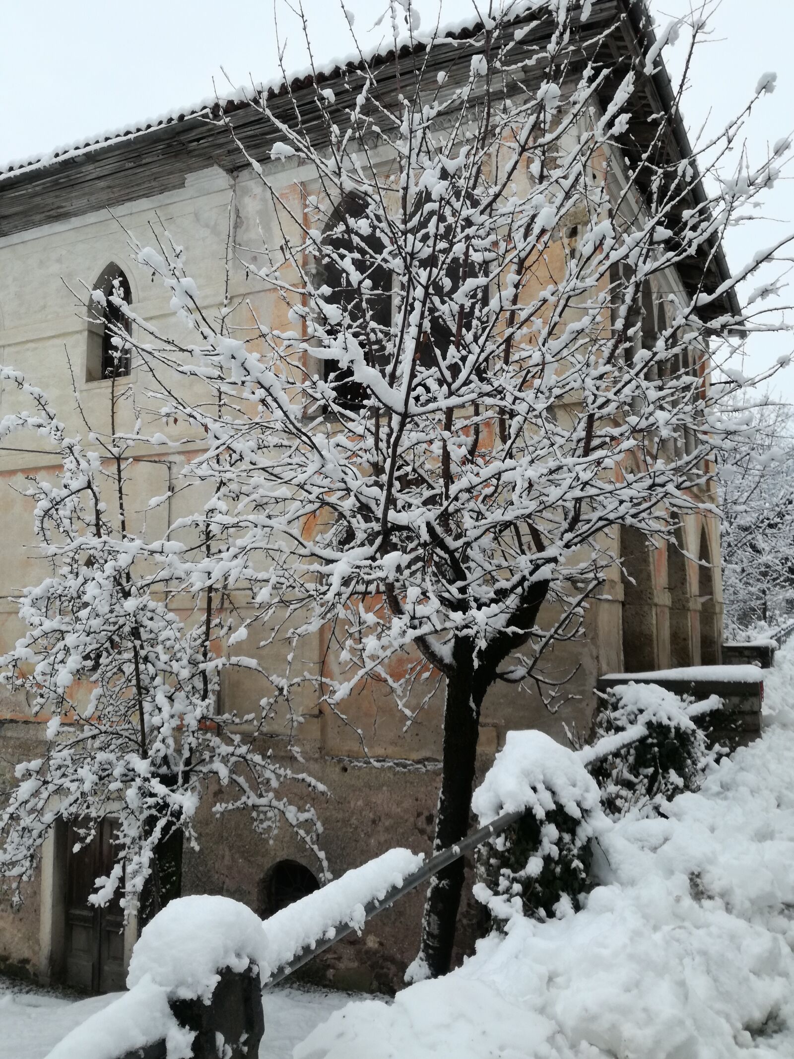 HUAWEI P9 LITE sample photo. Snow, winter, fro photography