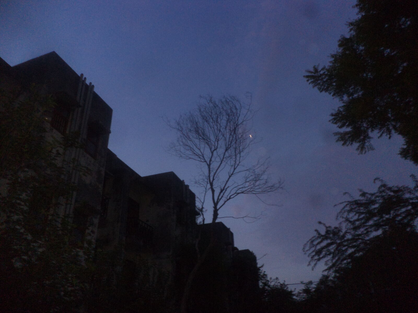 Sony DSC-S5000 sample photo