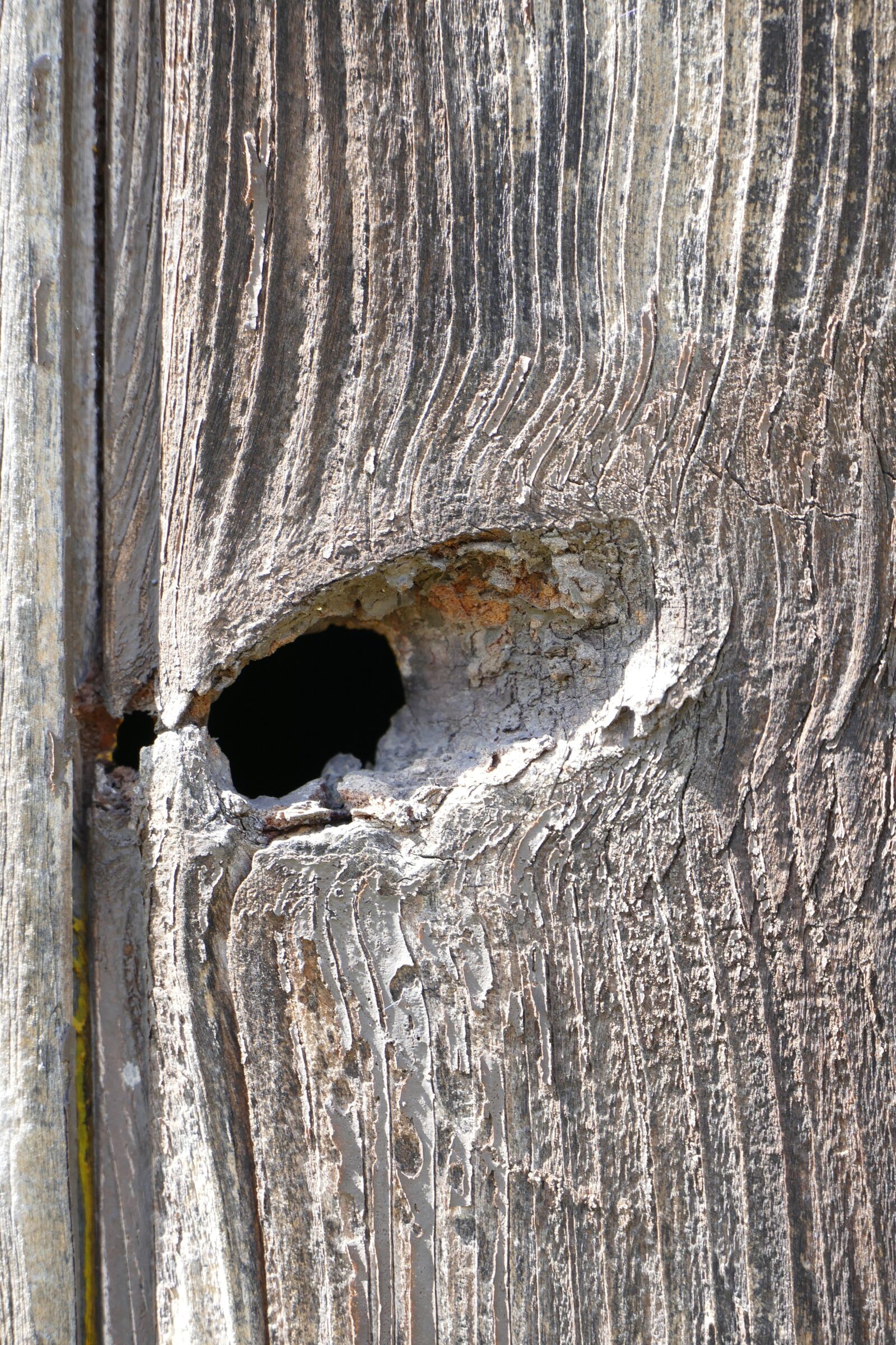 Panasonic Lumix DMC-FZ1000 sample photo. Knothole, wood, old photography