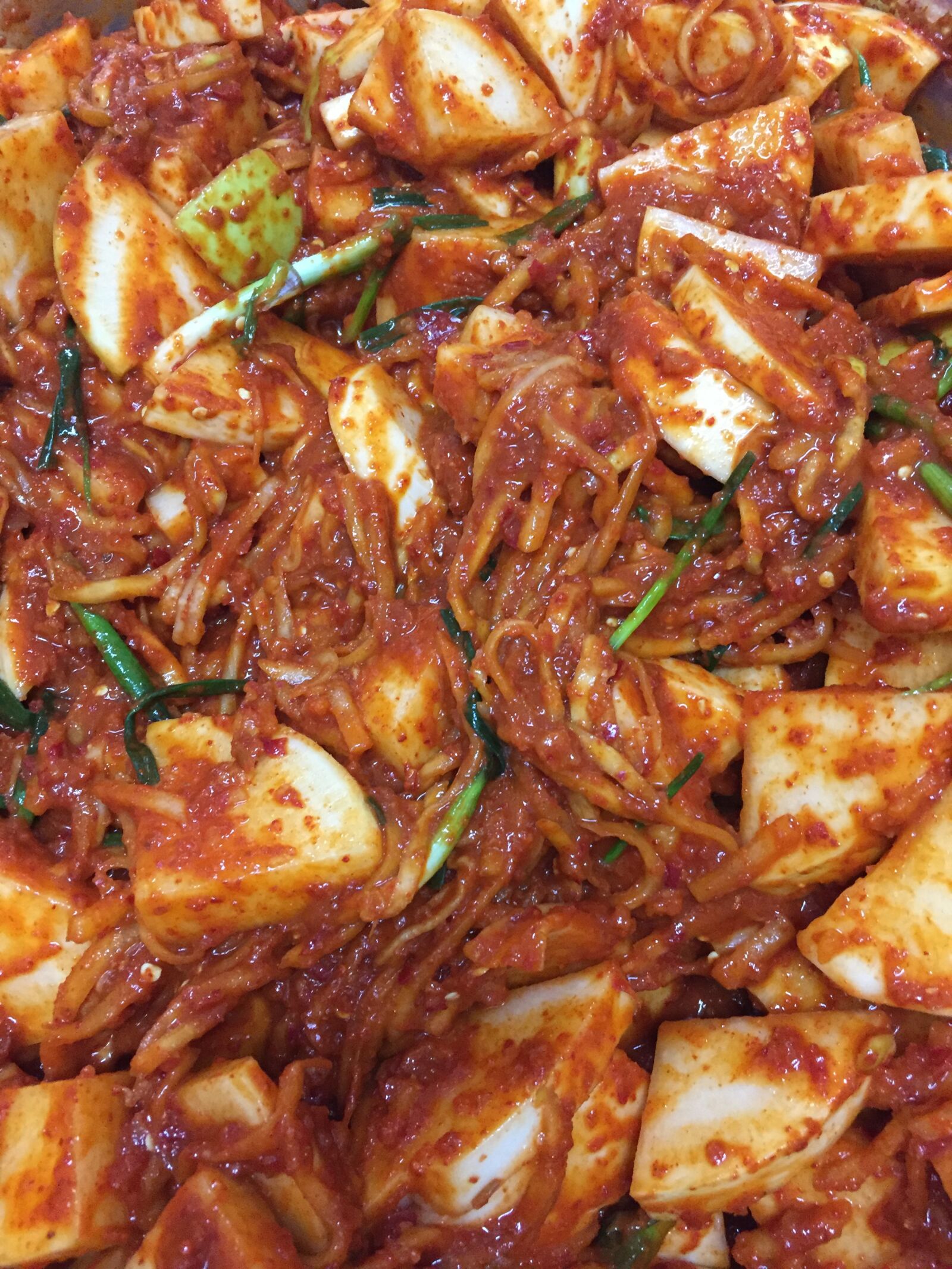 iPhone 6 back camera 4.15mm f/2.2 sample photo. Kimchi, fermented vegetables, food photography