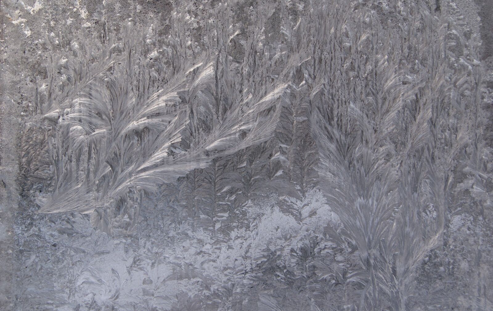 Sony Alpha DSLR-A230 sample photo. Frozen, ice, window photography
