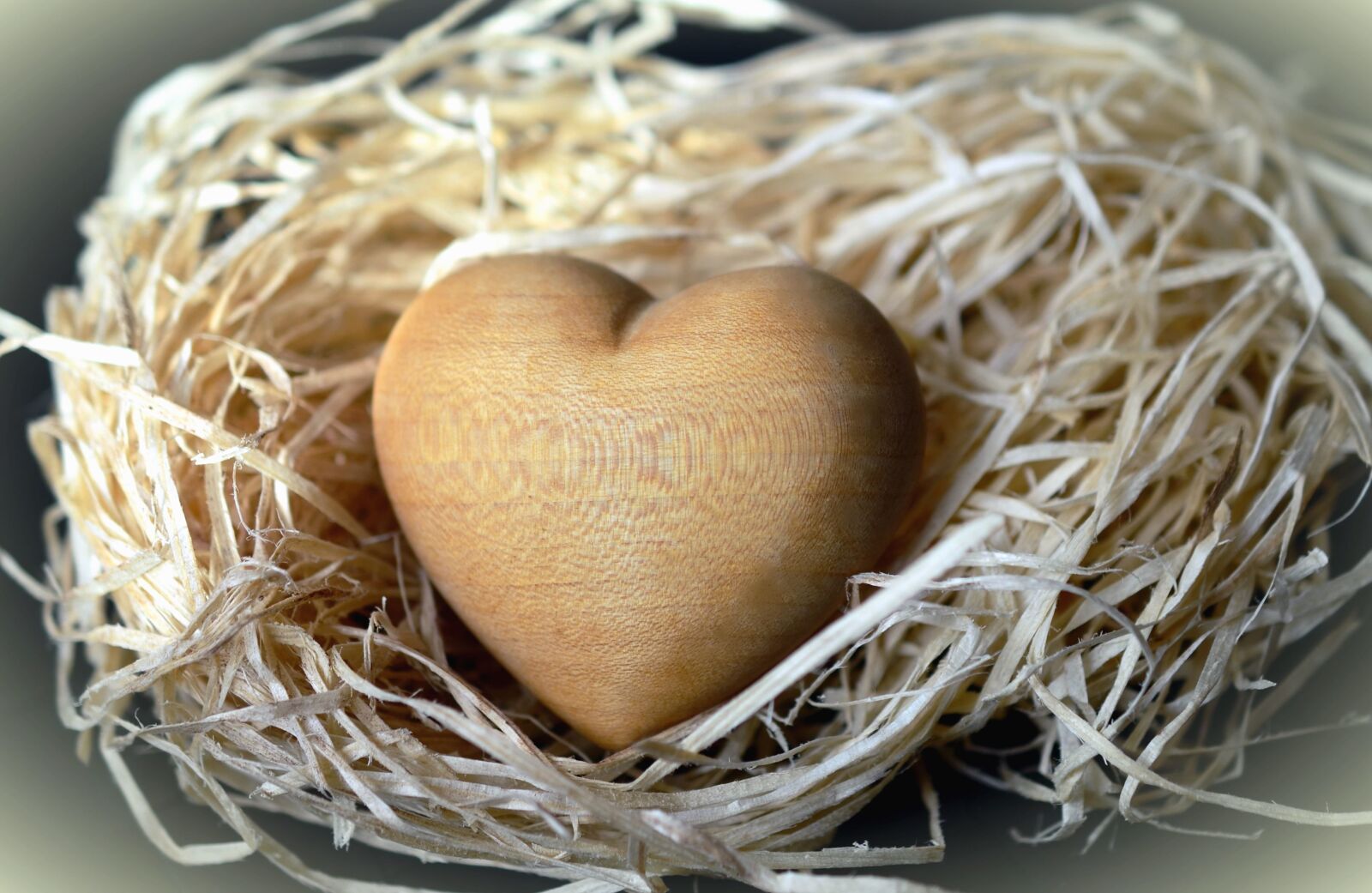 Nikon D5100 sample photo. Heart, wood, art, nest photography