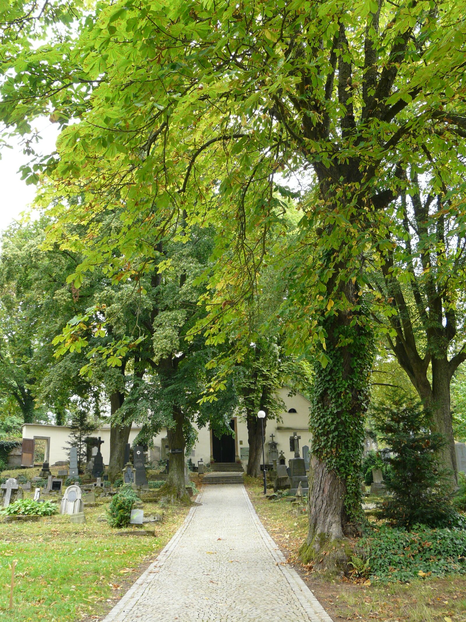 Panasonic DMC-FZ18 sample photo. Cemetery, sights, trees photography