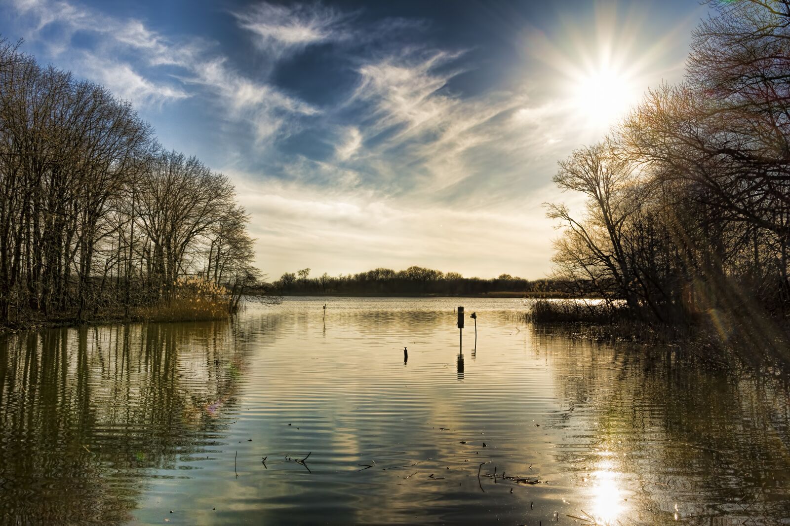 Nikon D7200 sample photo. Reflection, nature, water photography
