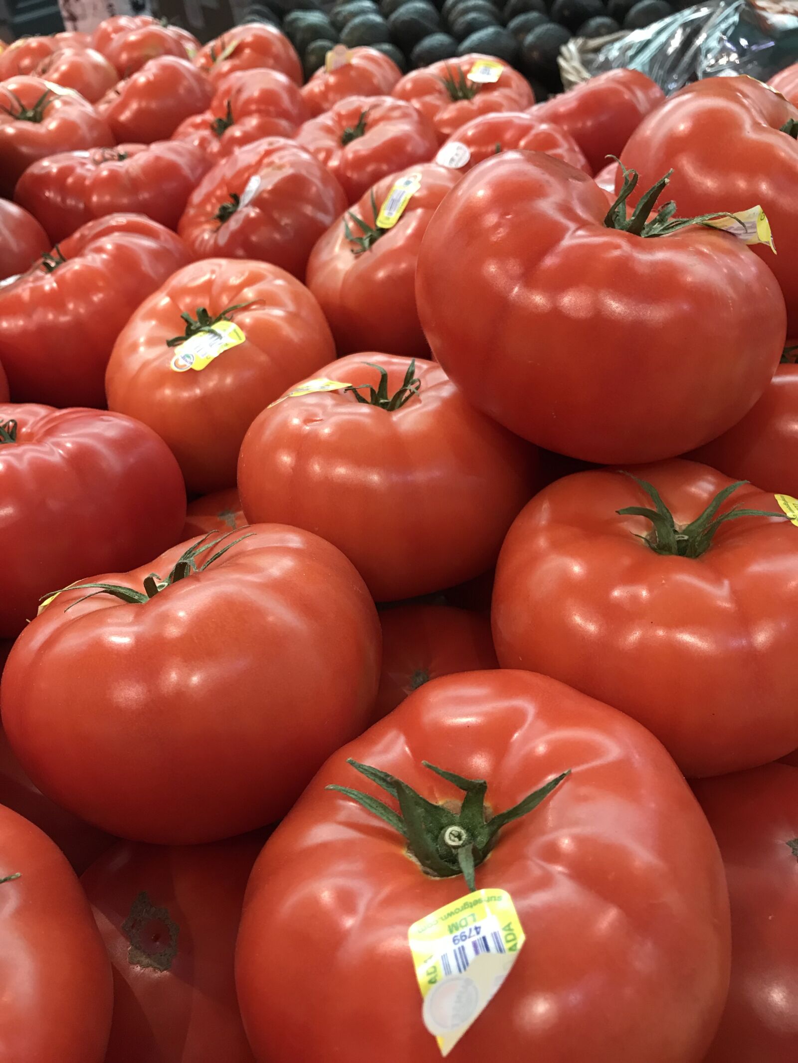 Apple iPhone 7 sample photo. Vegetables, red, food photography