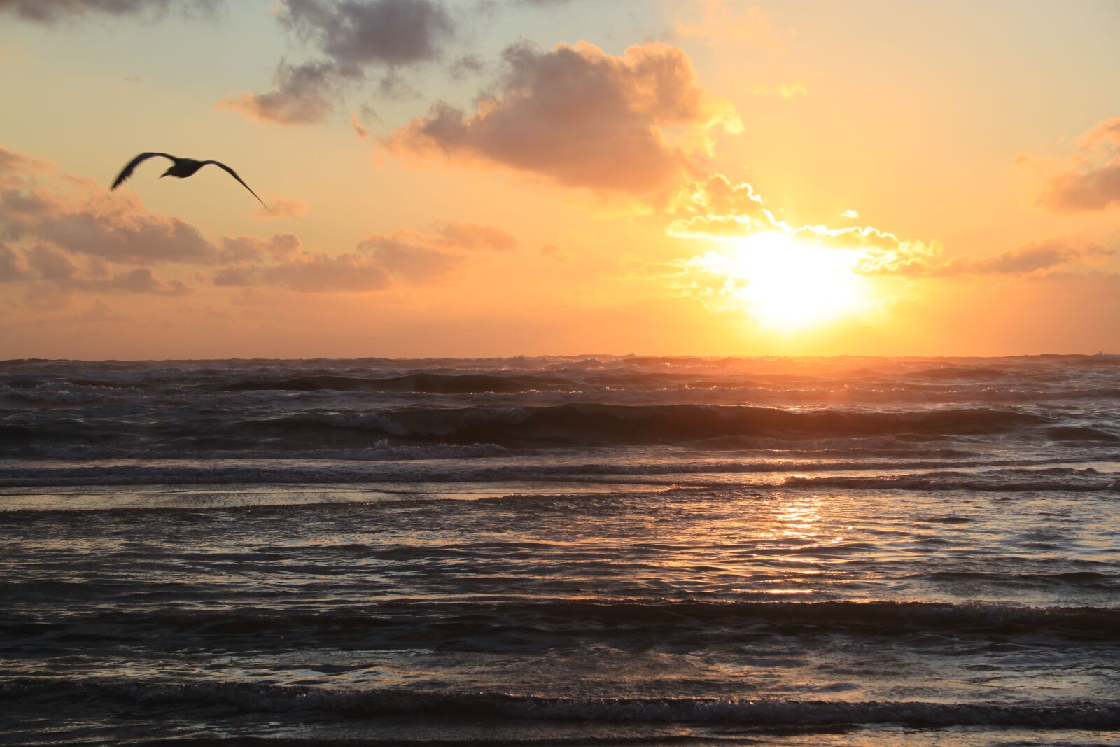 Canon EOS 500D (EOS Rebel T1i / EOS Kiss X3) sample photo. Air, zandvoort, setting sun photography
