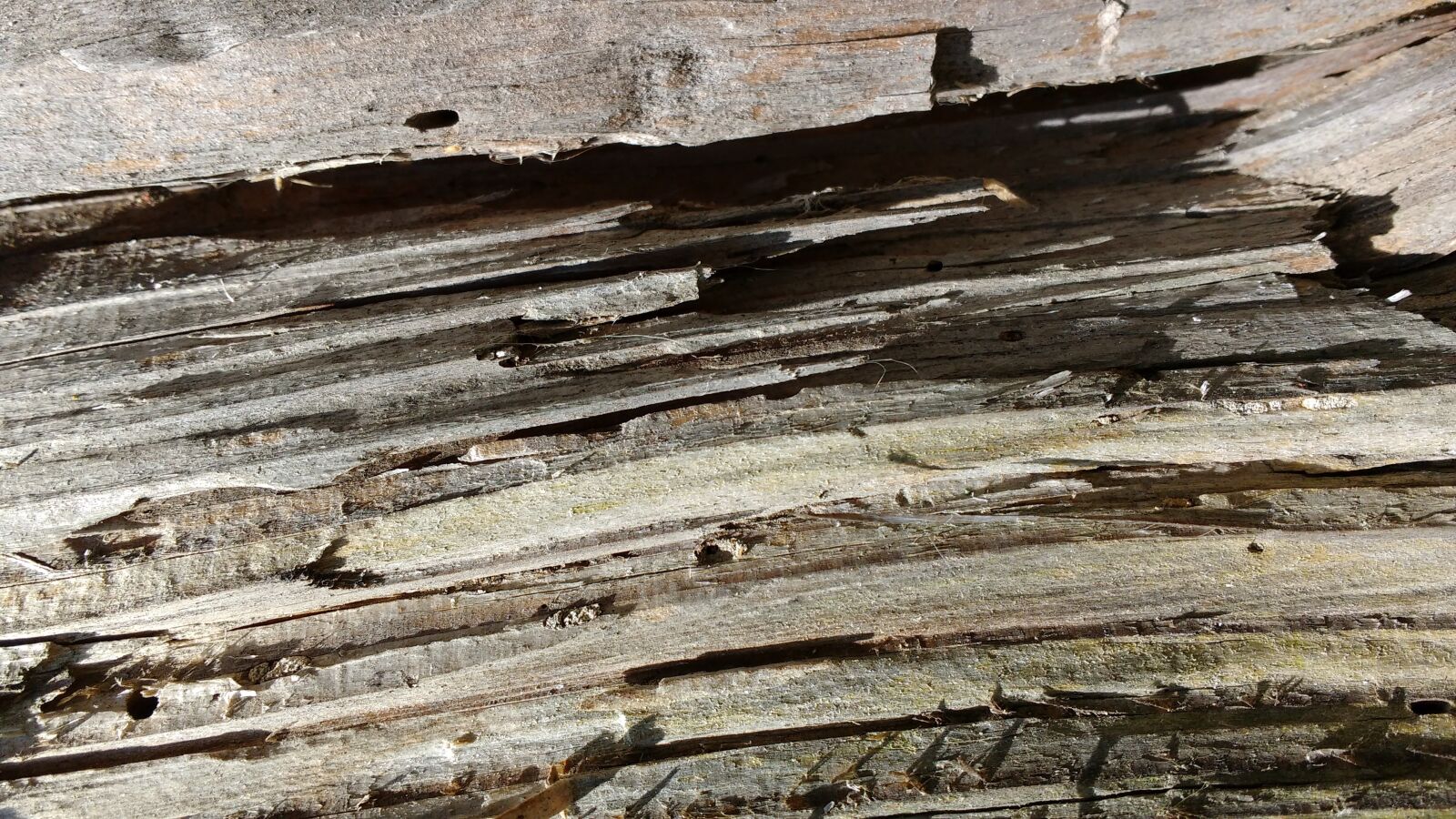 Motorola MotoG3 sample photo. Old wood, fibers, grain photography