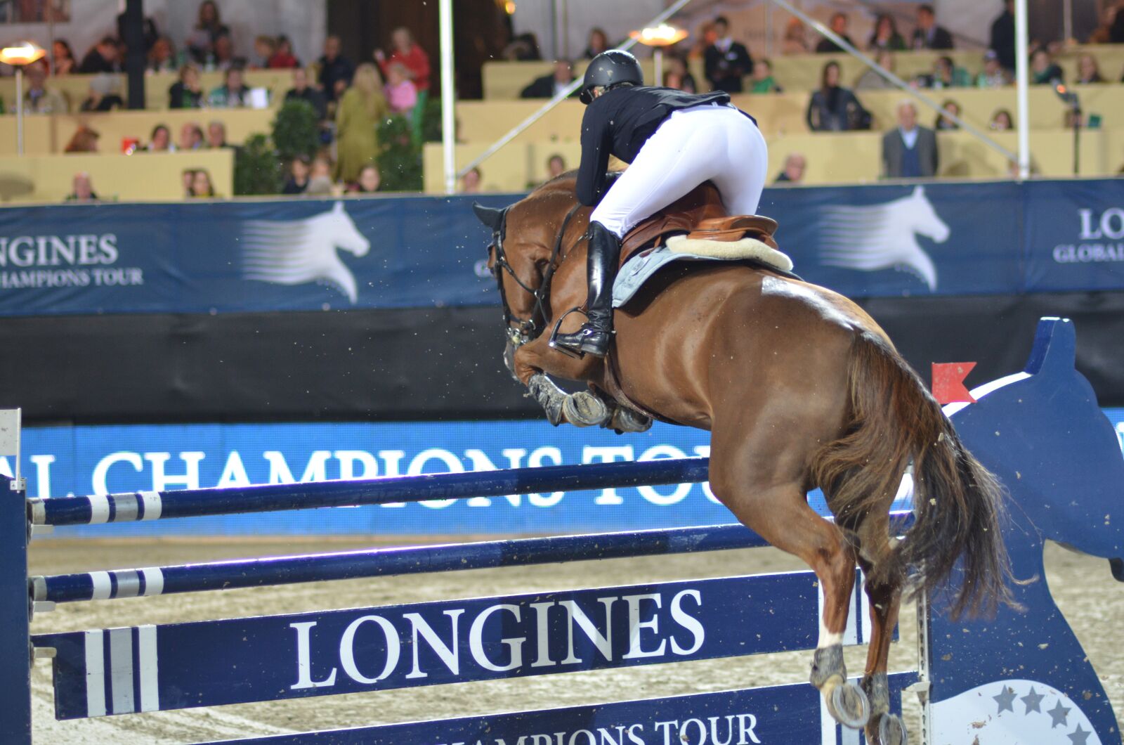 Nikon D7000 sample photo. Show jumping, horse, equestrian photography