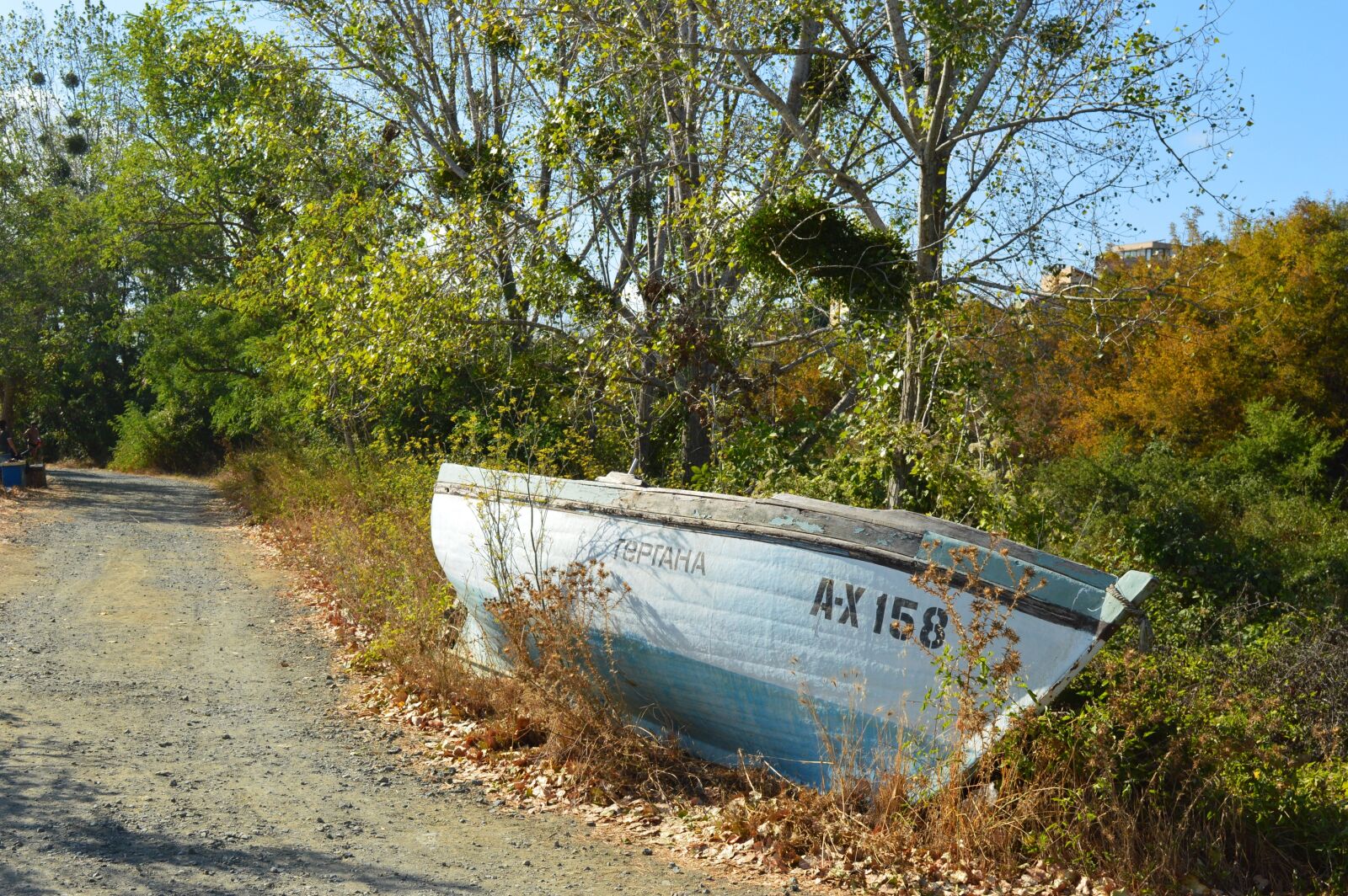 Nikon D3200 sample photo. Boat, forrest, nature photography