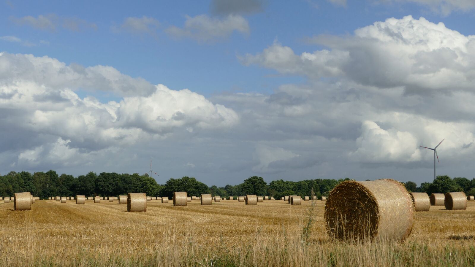 Panasonic Lumix DMC-FZ1000 sample photo. Hay, harvest, hay bales photography