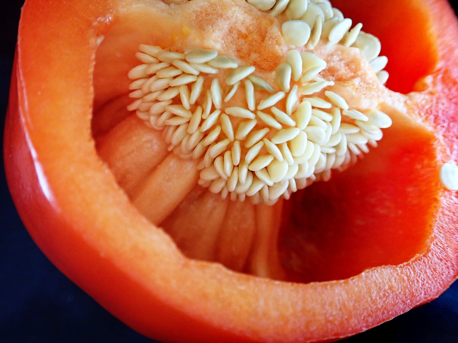 Olympus TG-5 sample photo. Vegetable, red, capsicum photography