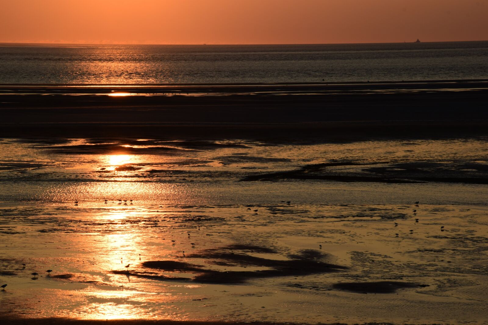 Nikon D5300 sample photo. Sunset, langeoog sunset, north photography