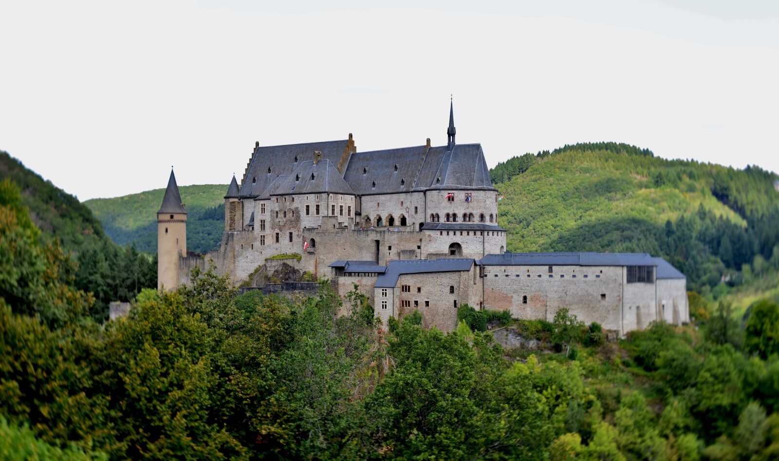 Nikon D600 sample photo. Castle, knight castle, middle photography