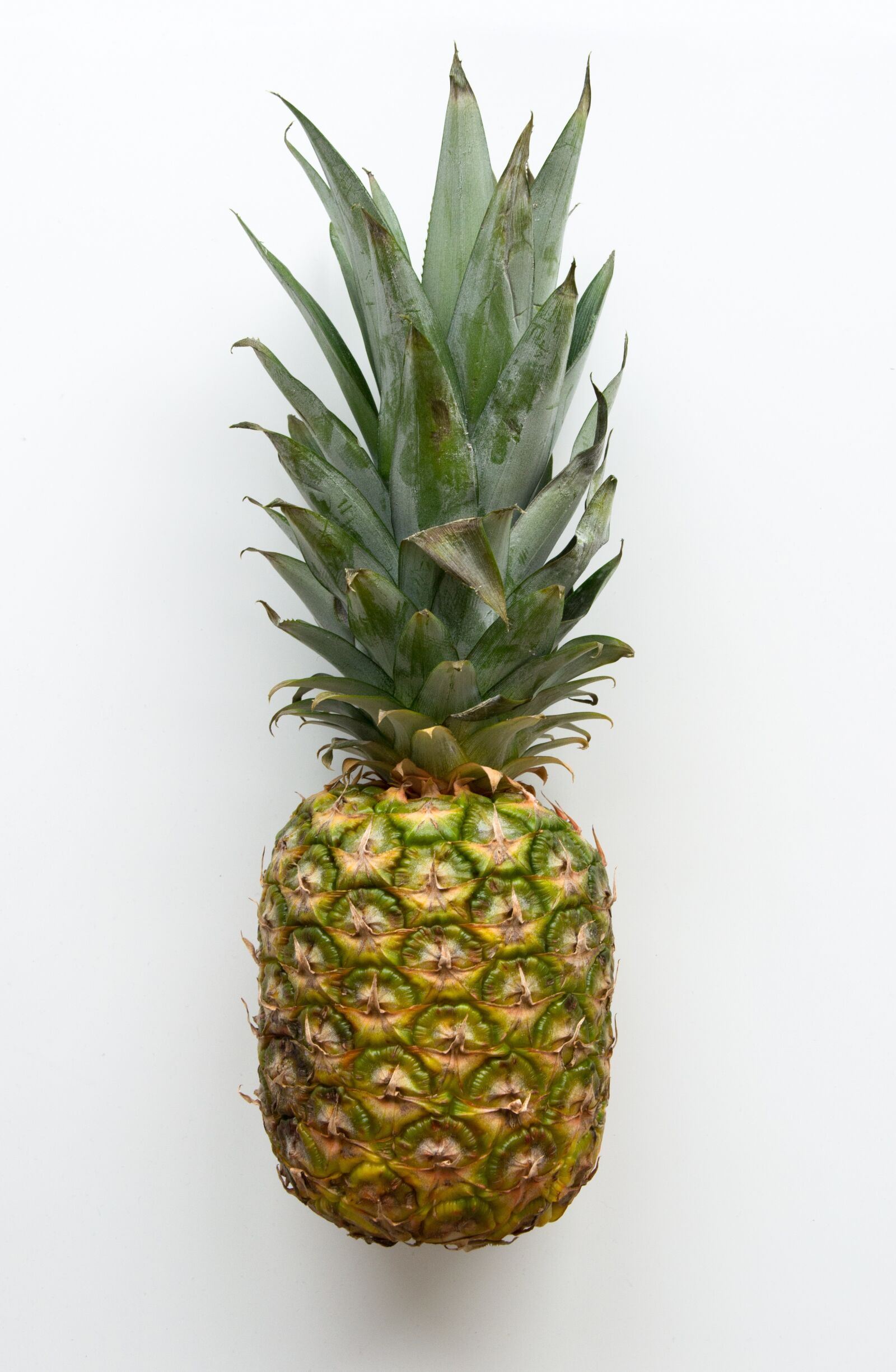 Nikon D5100 sample photo. Pineapple, fruit, tropical photography