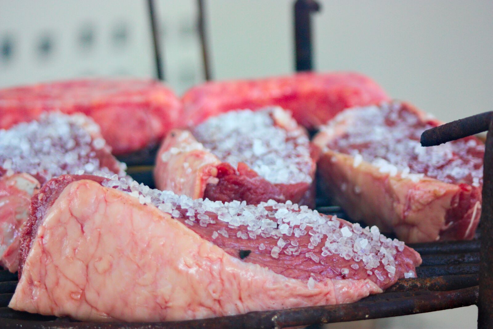 Canon EOS 450D (EOS Rebel XSi / EOS Kiss X2) sample photo. Barbecue, fillet steak, grid photography
