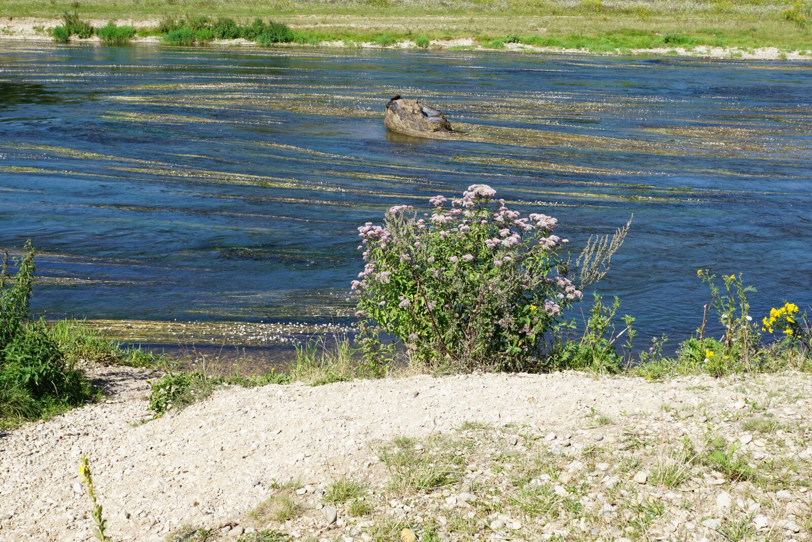 Sony DT 16-50mm F2.8 SSM sample photo. Danube, river, water photography