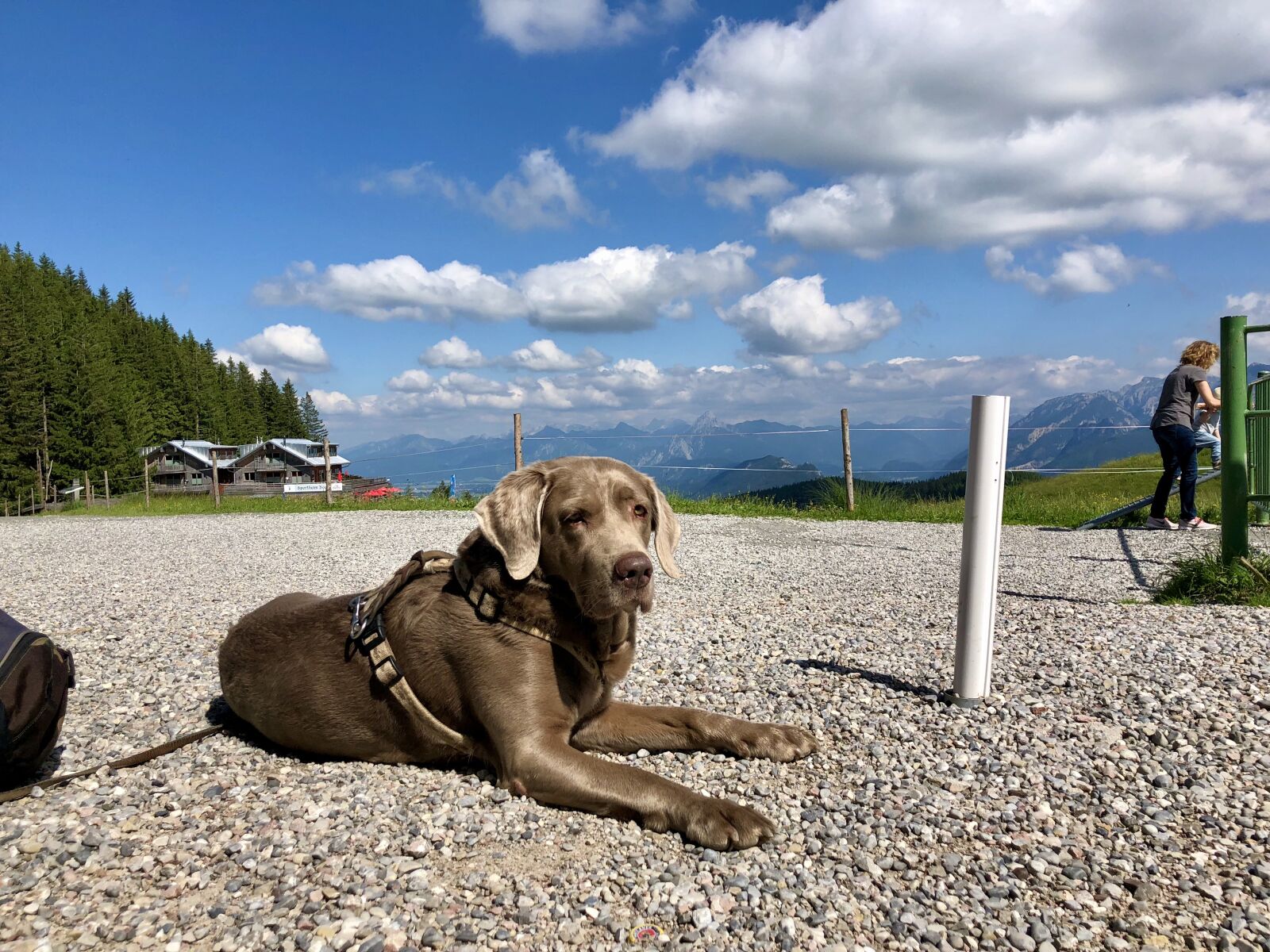 iPhone X back dual camera 4mm f/1.8 sample photo. Alpspitze, bavaria, dog photography