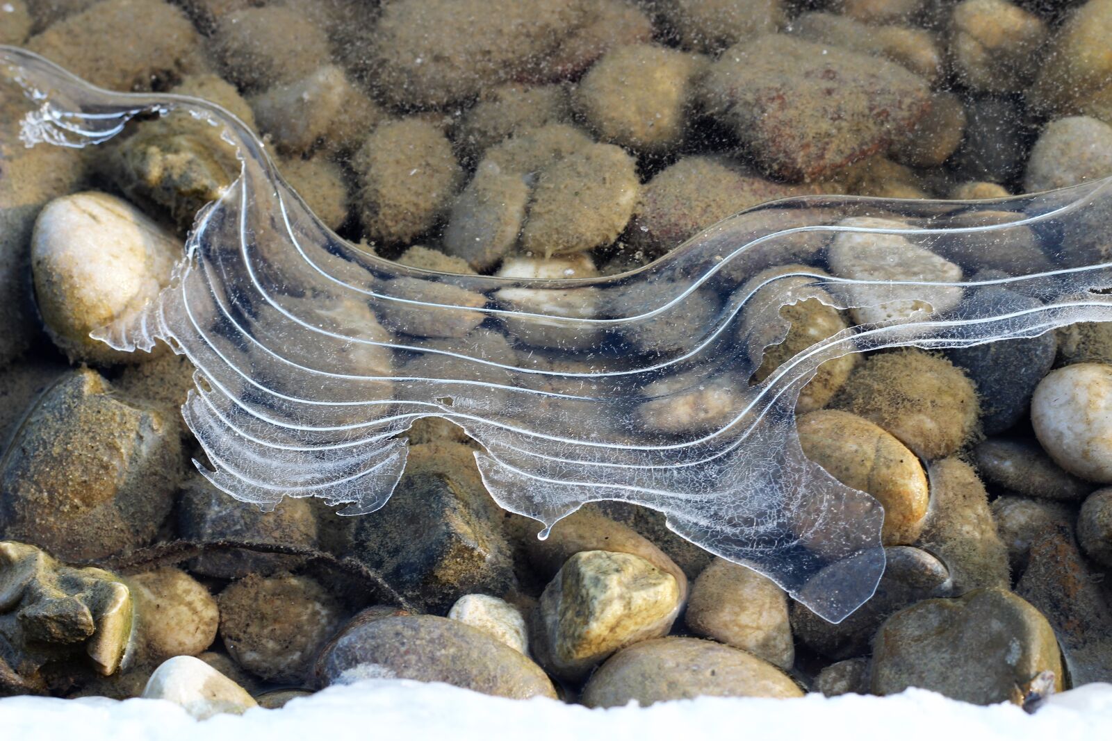 Canon EOS 600D (Rebel EOS T3i / EOS Kiss X5) + Canon EF 50mm F1.8 II sample photo. Ice pattern on lake photography