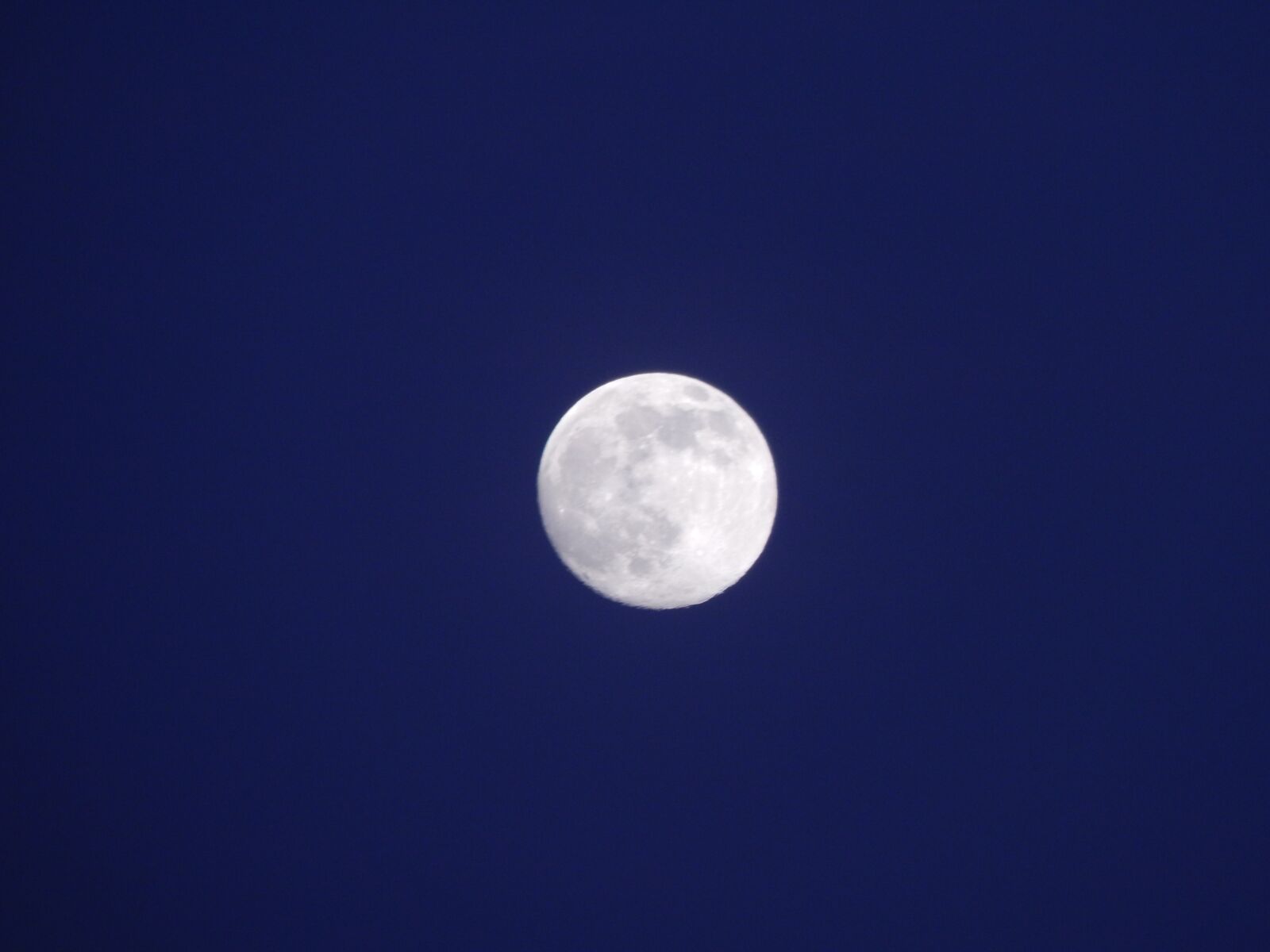 Nikon Coolpix L830 sample photo. Full moon, night, sky photography