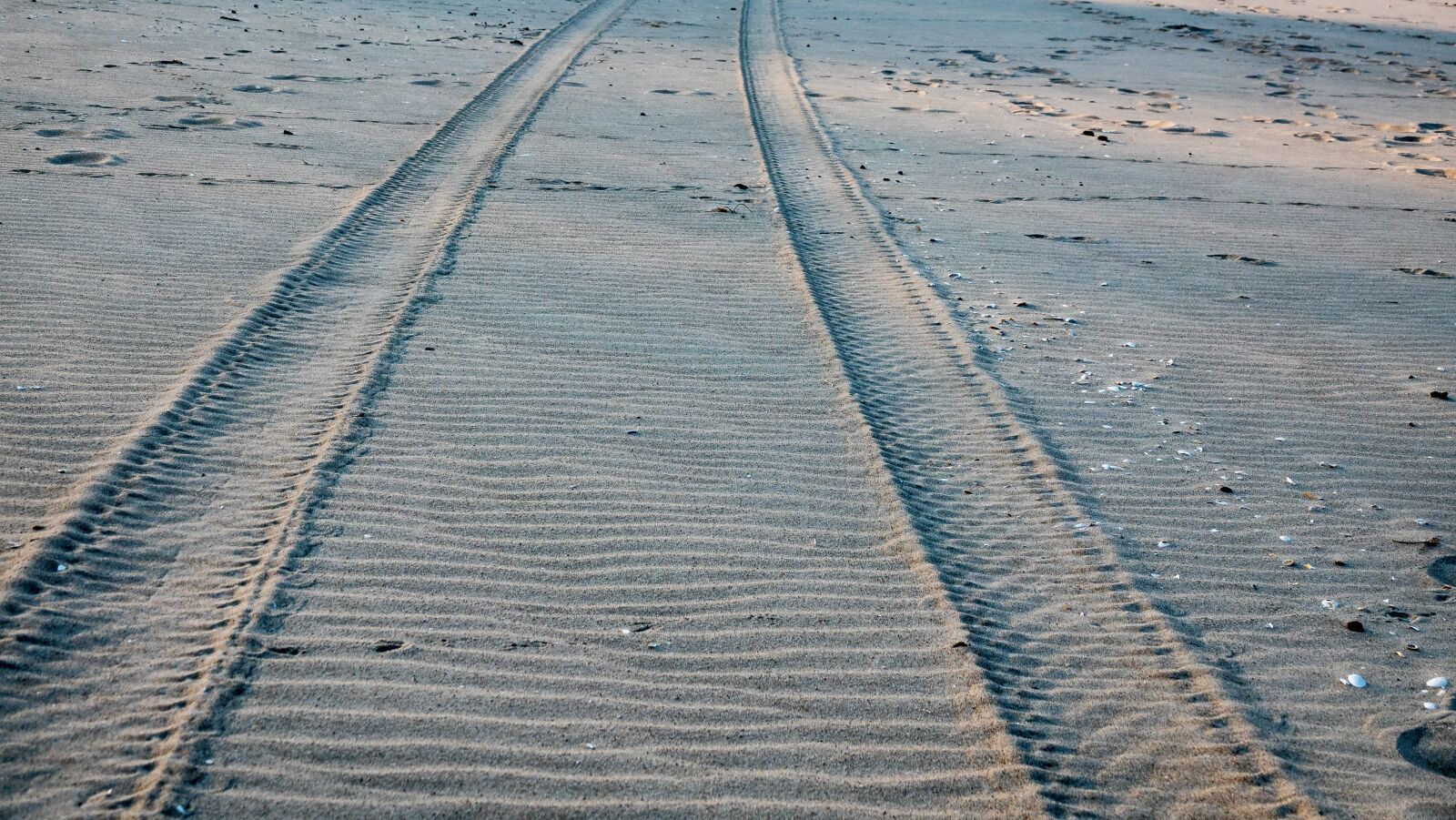 Sony Cyber-shot DSC-RX10 IV sample photo. Beach, tire track, sand photography