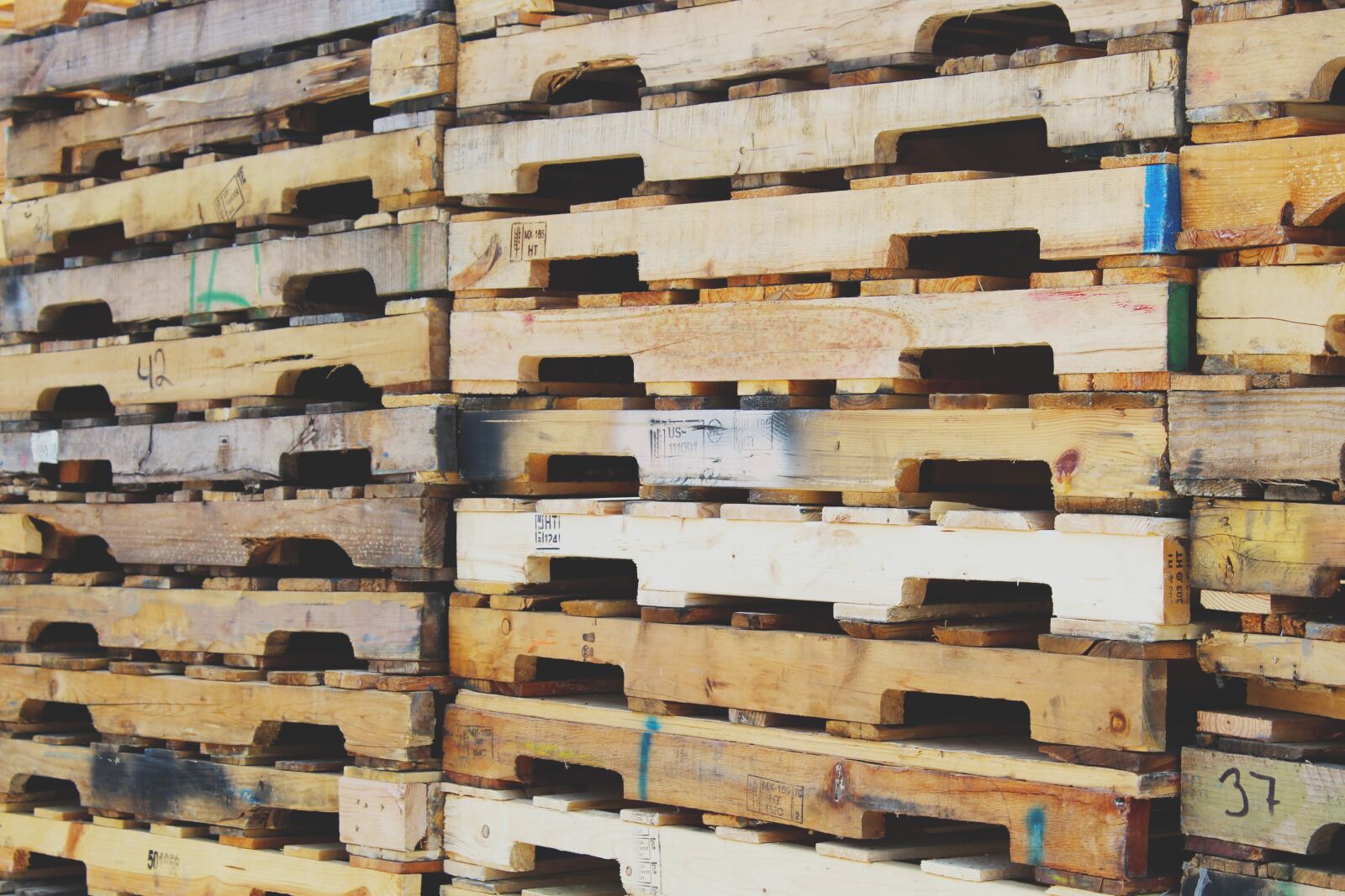 Canon EOS 1300D (EOS Rebel T6 / EOS Kiss X80) sample photo. Wood, pallet, pallets photography
