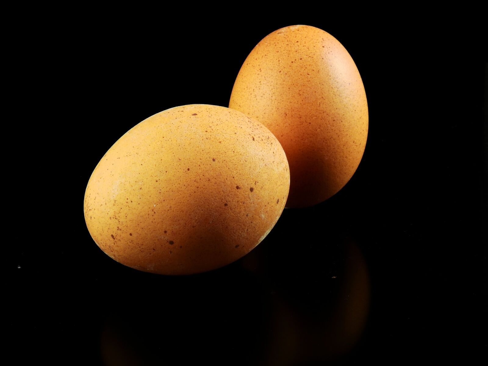 Nikon Coolpix P900 sample photo. Egg, chicken, hen photography