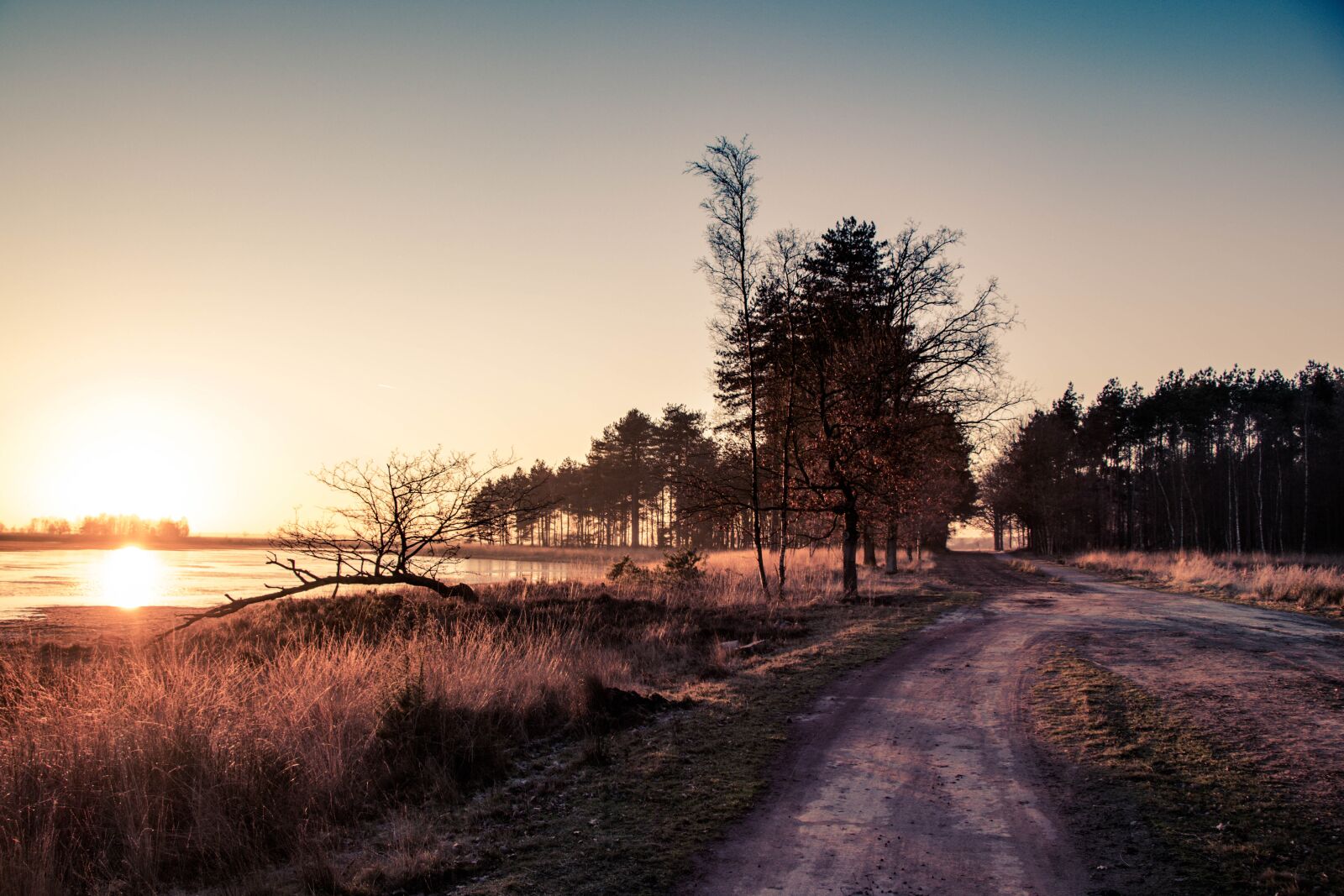 Canon EOS 80D sample photo. Sunset, dirt road, nature photography