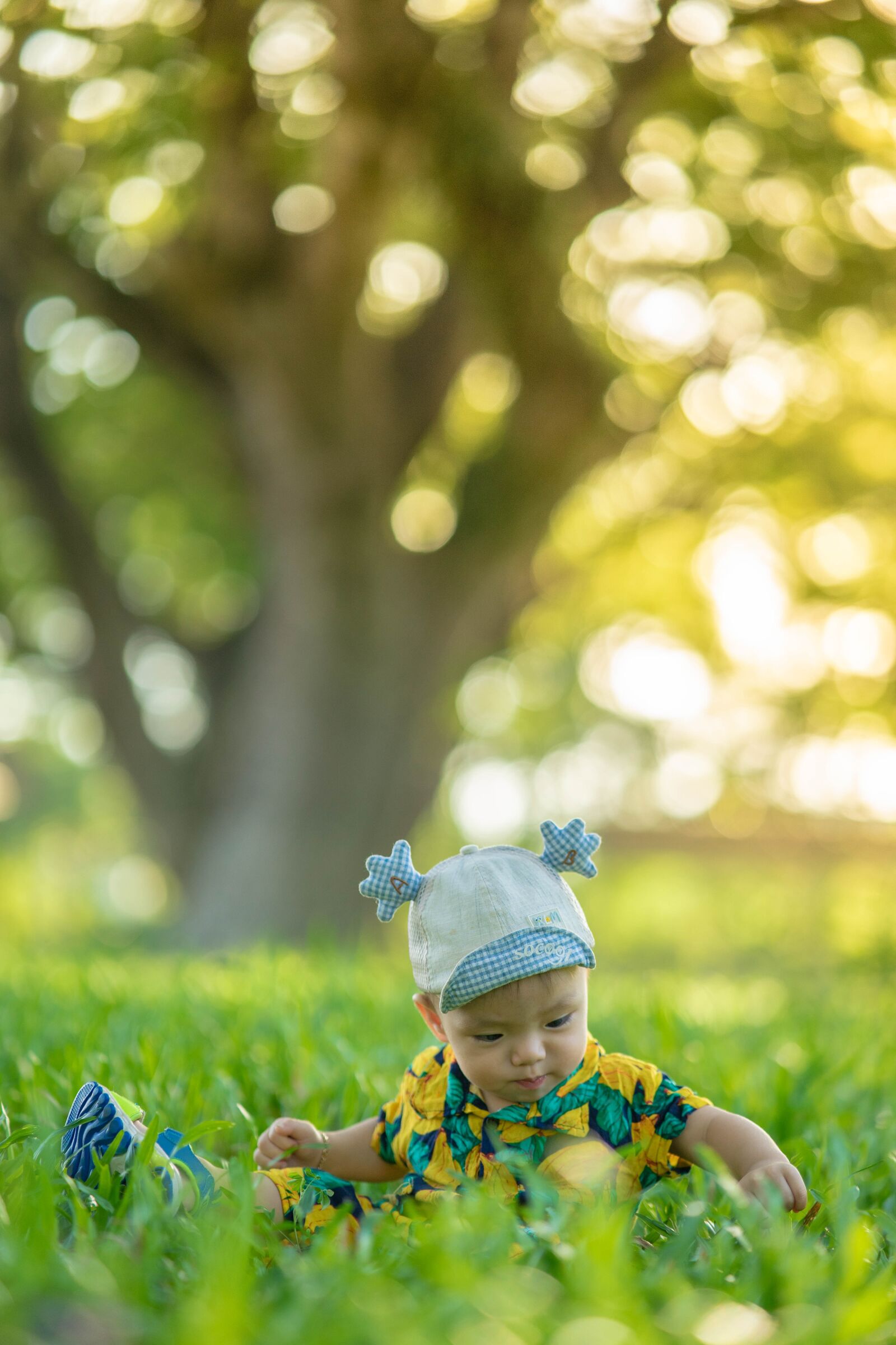 Sony a7 II + Samyang AF 85mm F1.4 FE sample photo. Baby, cute, light photography