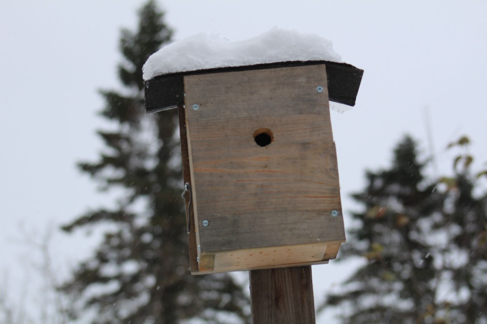 Canon EOS 1200D (EOS Rebel T5 / EOS Kiss X70 / EOS Hi) sample photo. Winter, wood, outdoors photography