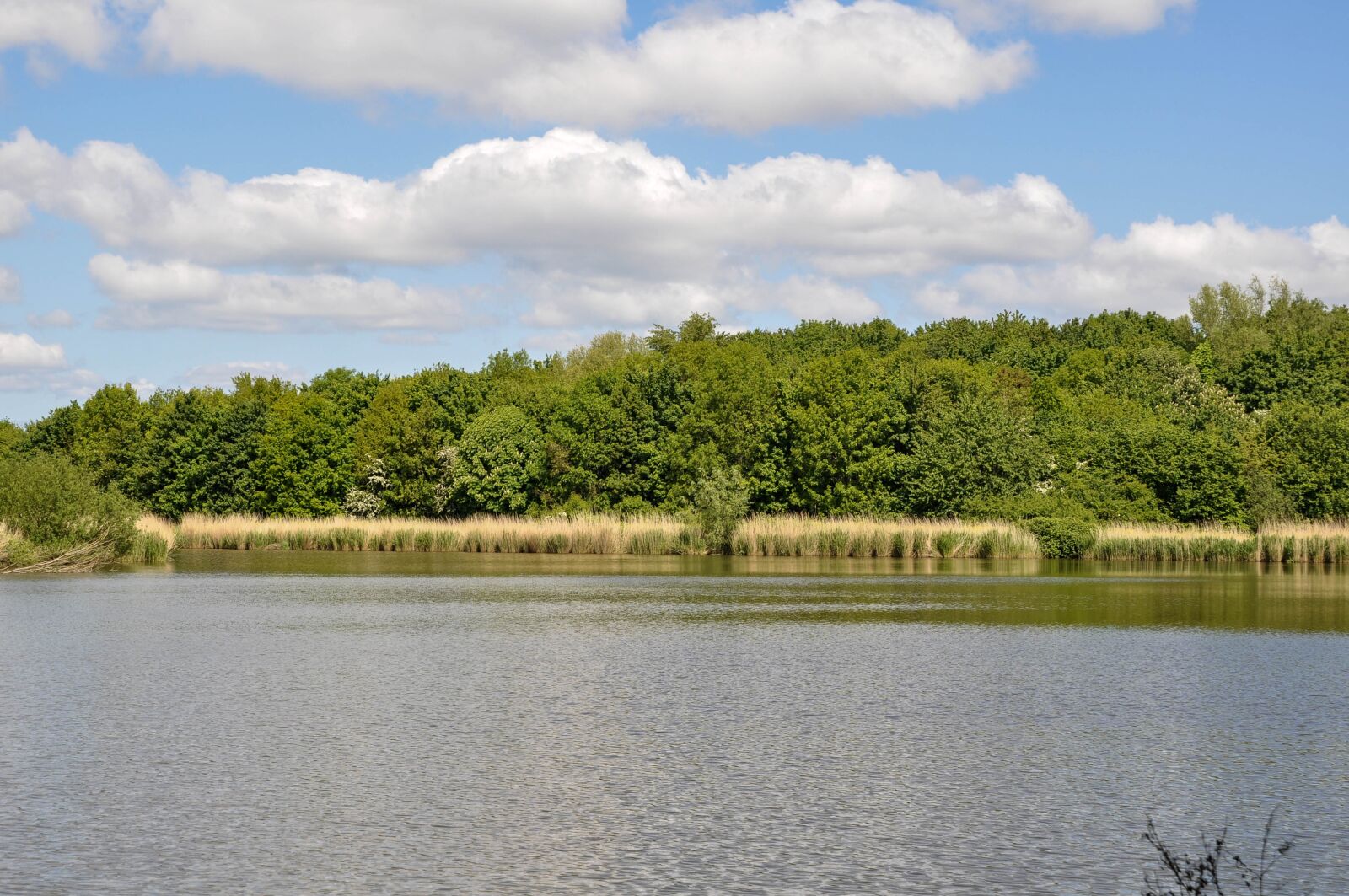 Nikon D90 sample photo. Water, trees, landscape photography